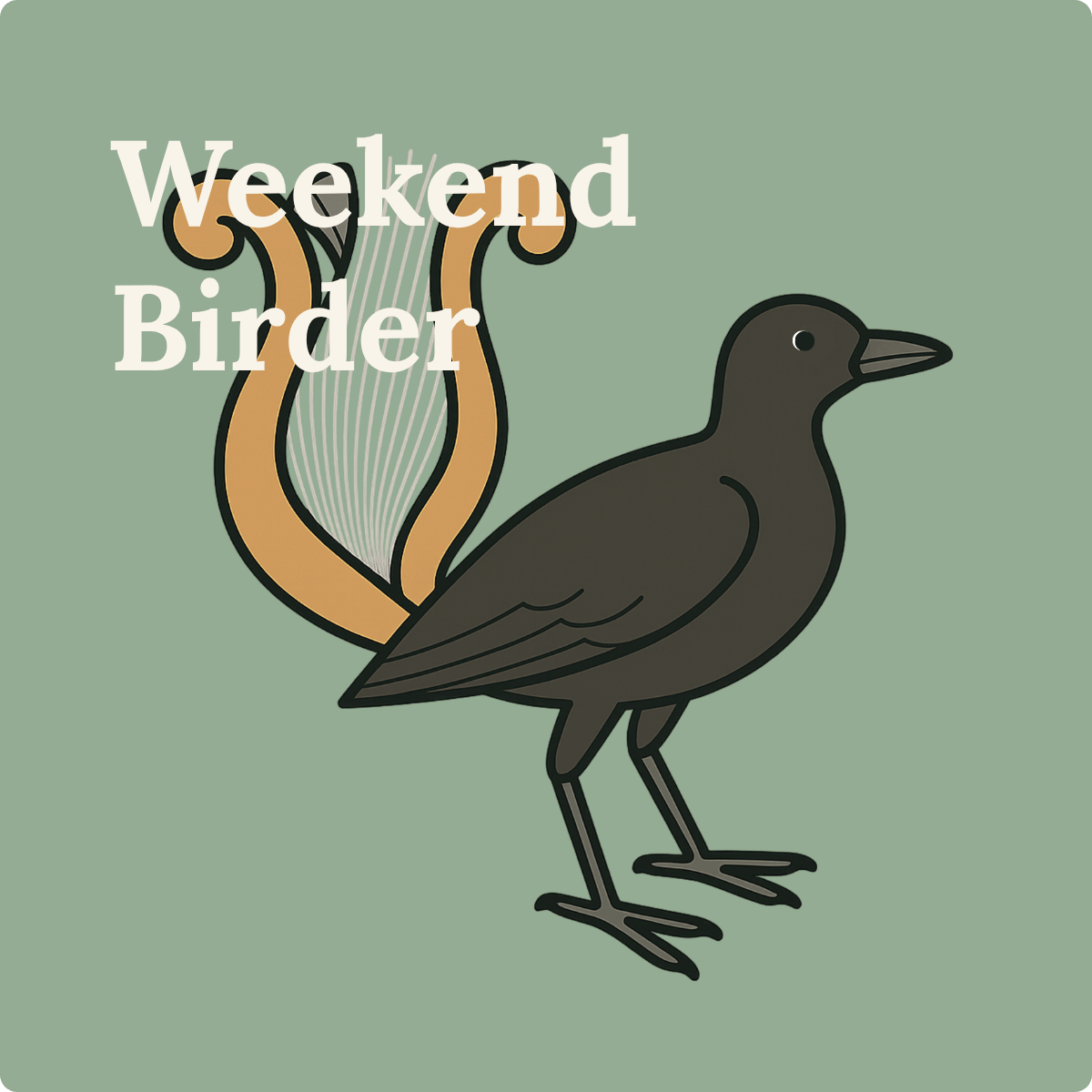 143 Filming What We Miss