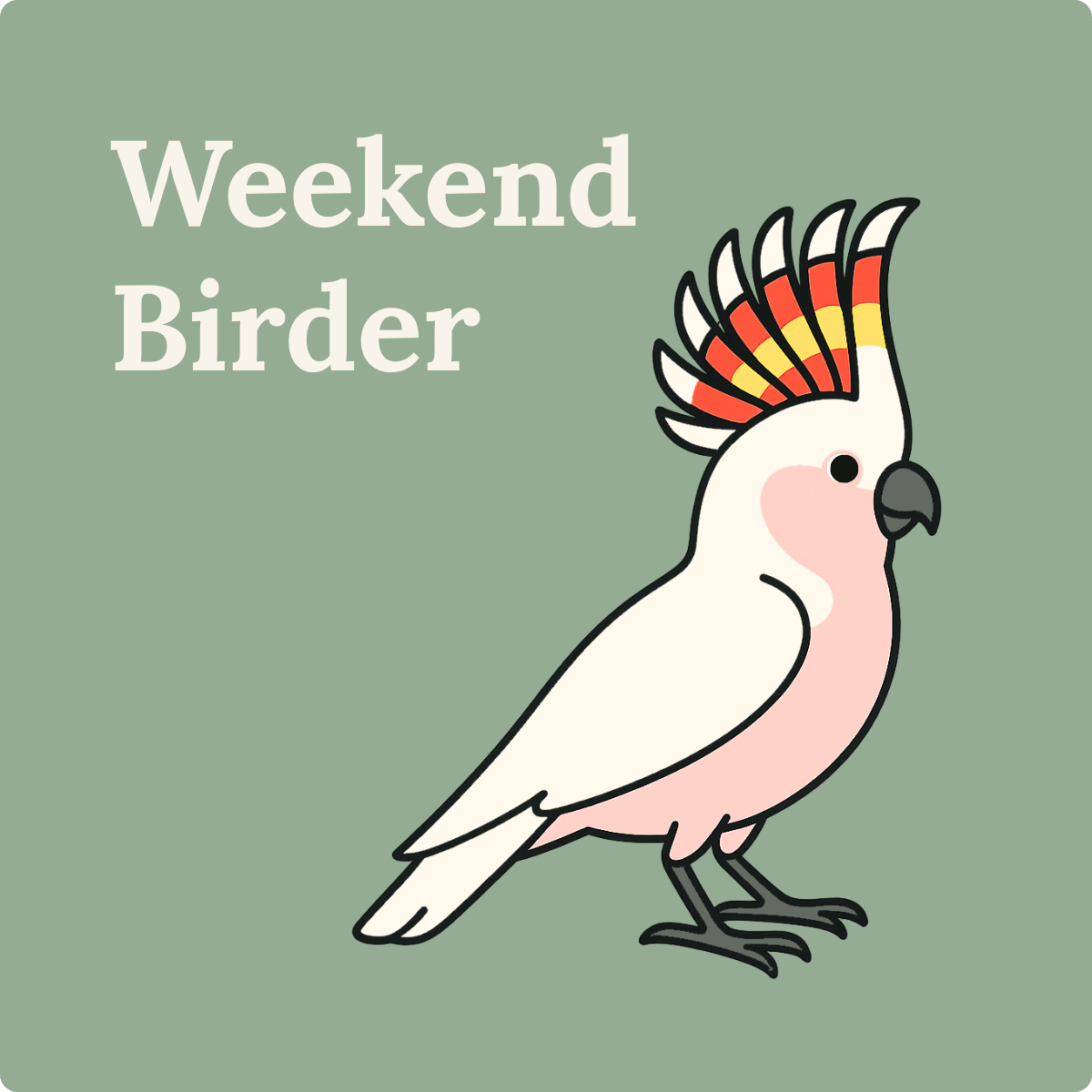 119 Birds that Connect Us