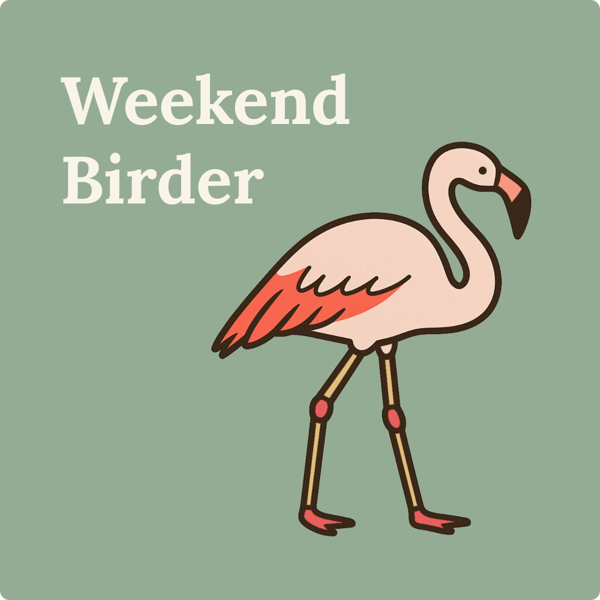 123 Every Bird in the World