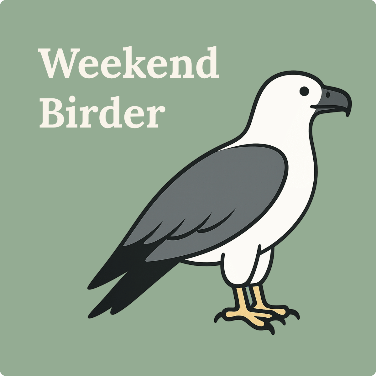 146 Birds on Country