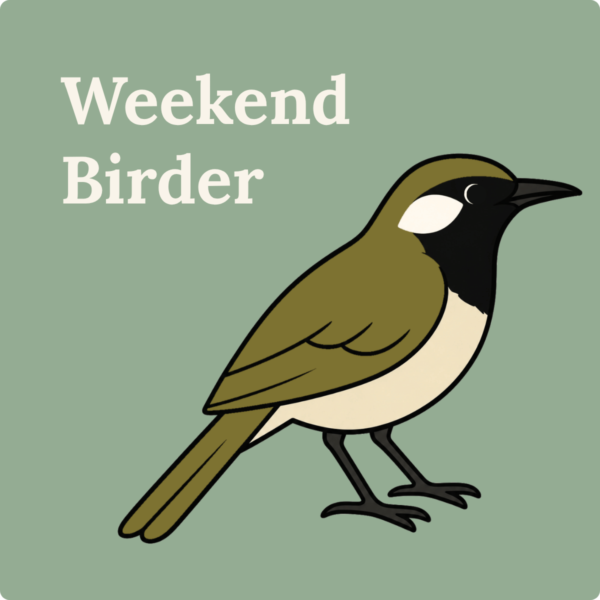 150 Honeyeaters at Dawn