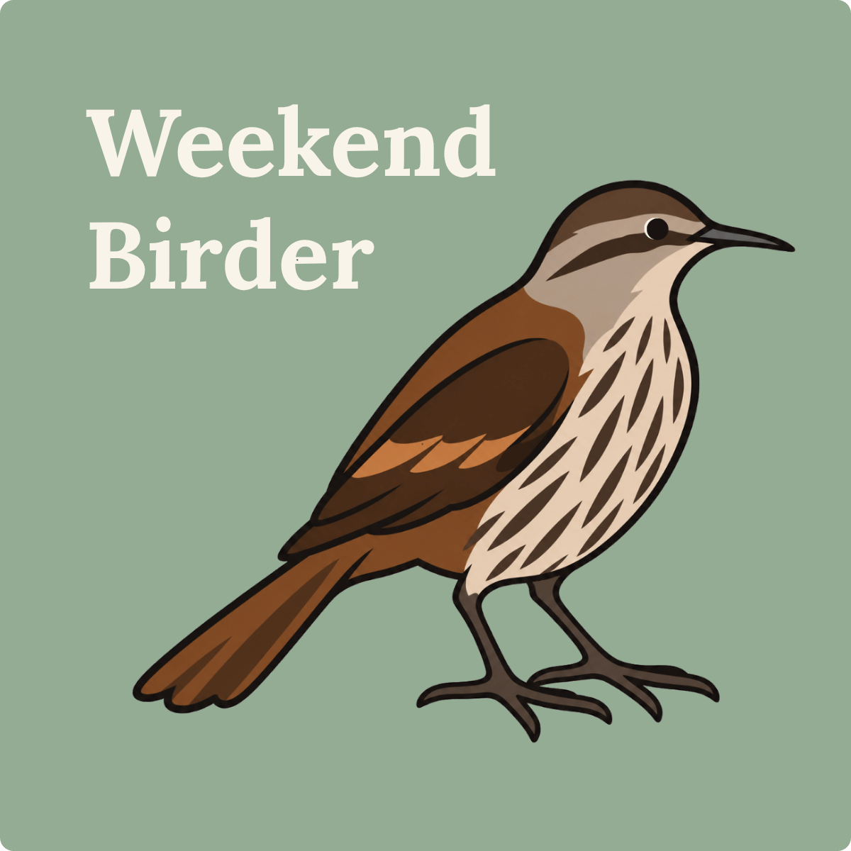 152 Birds Tell Us Where We Are