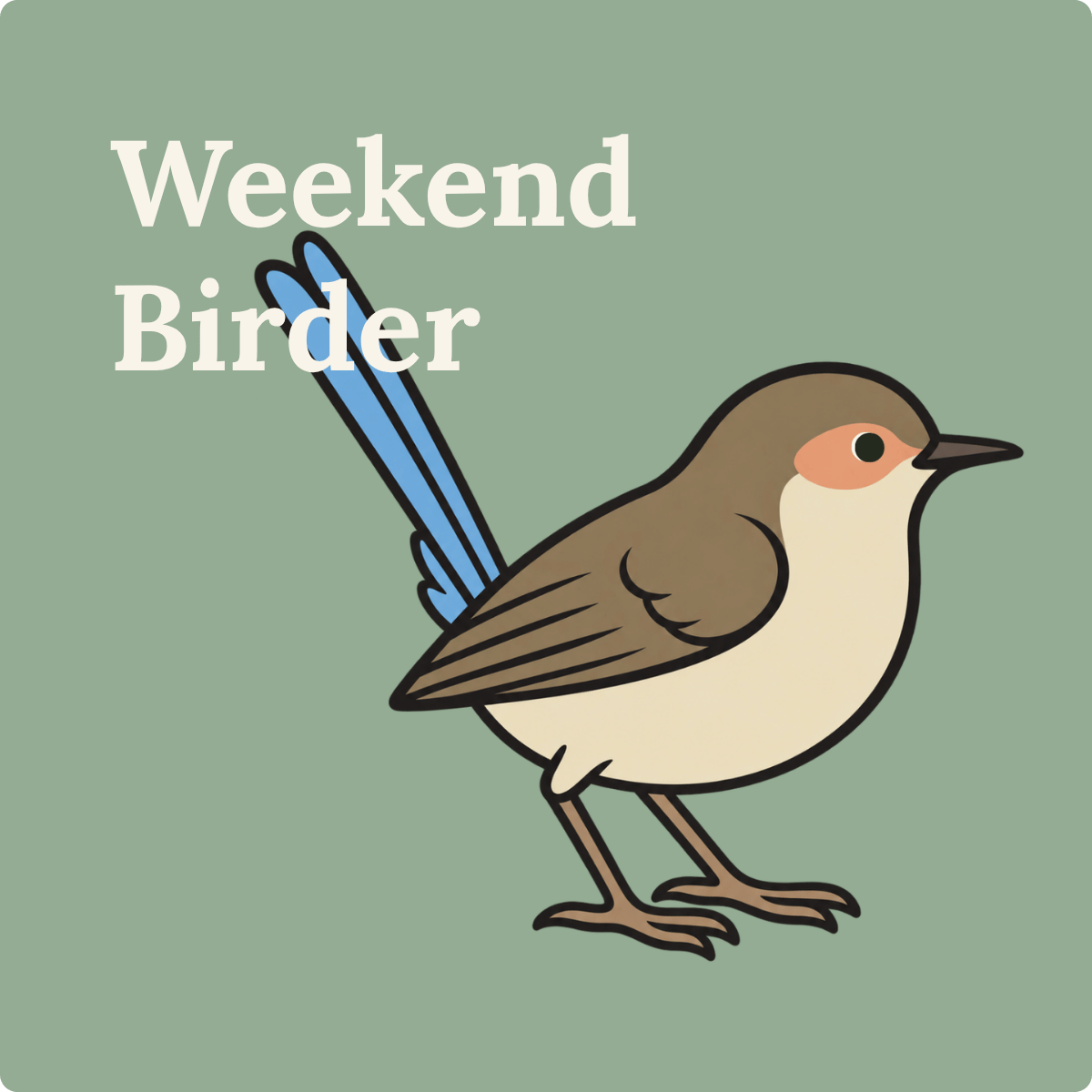 153 Birding Your Own Way