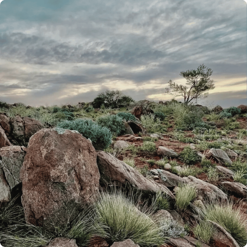 Store Broken Hill landscape.png