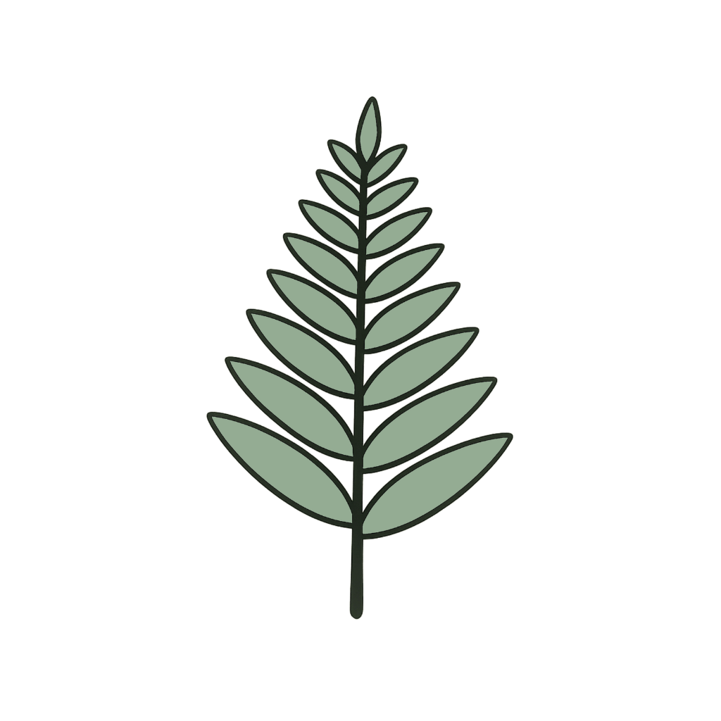 Illustration of a fern