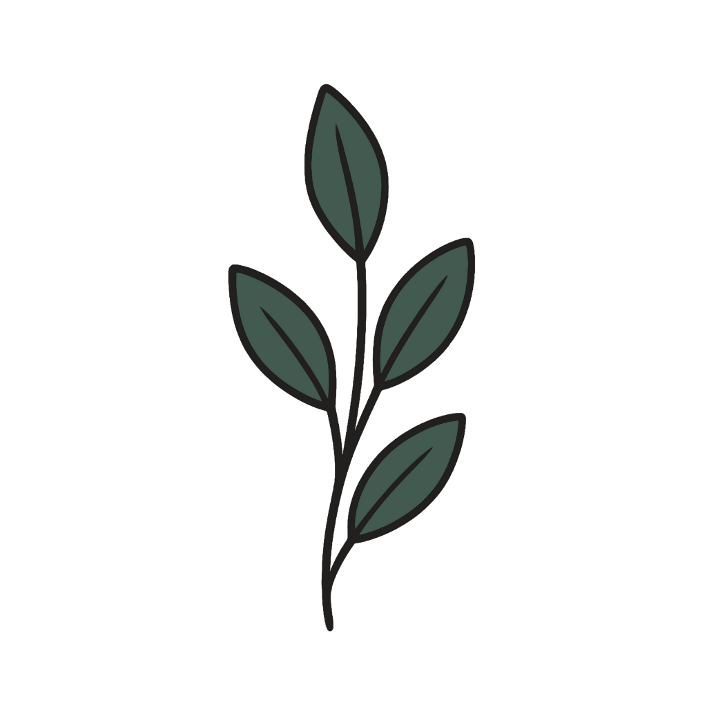 illustration of a branch with leaves
