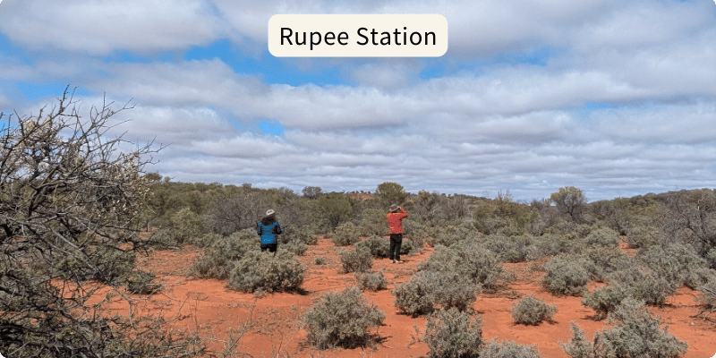 2 people birdwatching on the red dirt landscape and big blue sky of Rupee Station