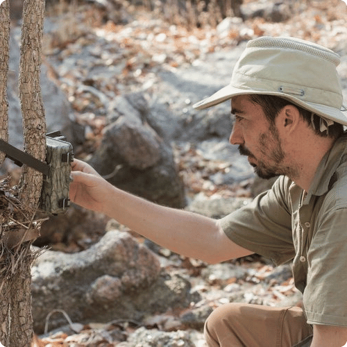 Jeremy (he/him) is installing a camera as part of his work with Birdlife Australia