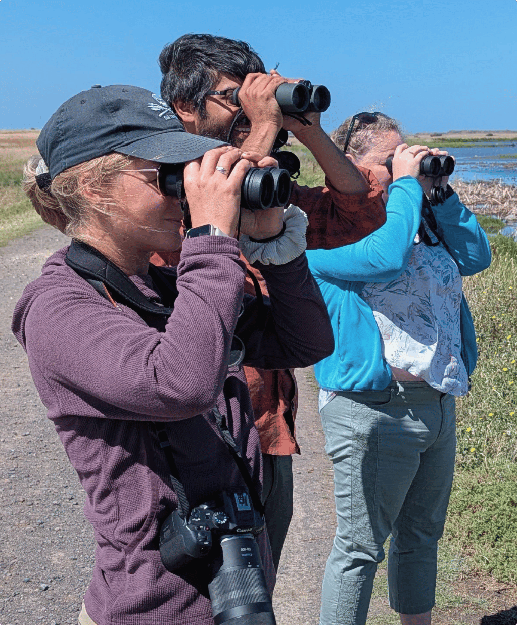 A group of people are holding up binoculars and birdwatching in a wetland