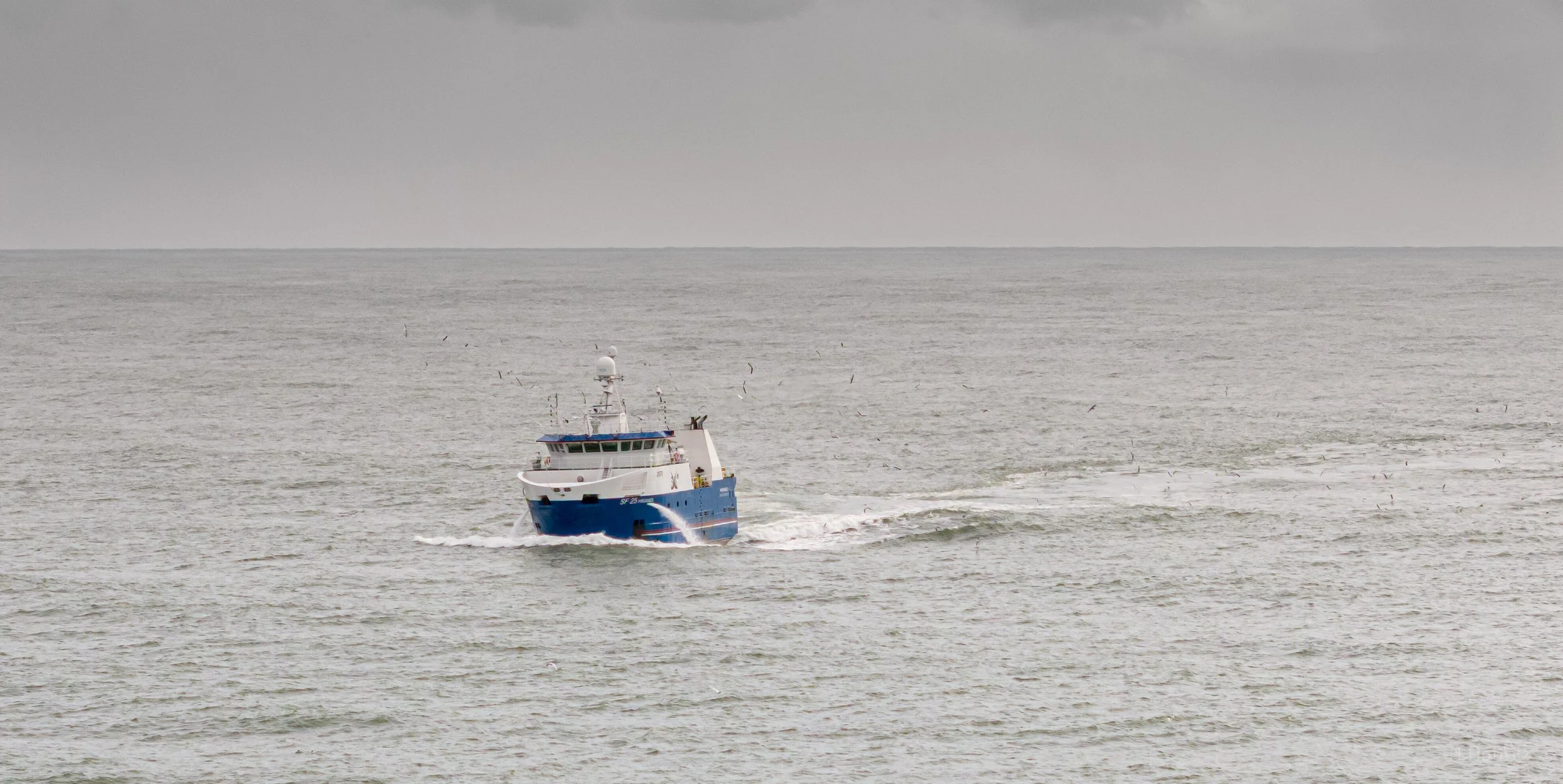 DJI_20260410135456_0115_D-2.jpg