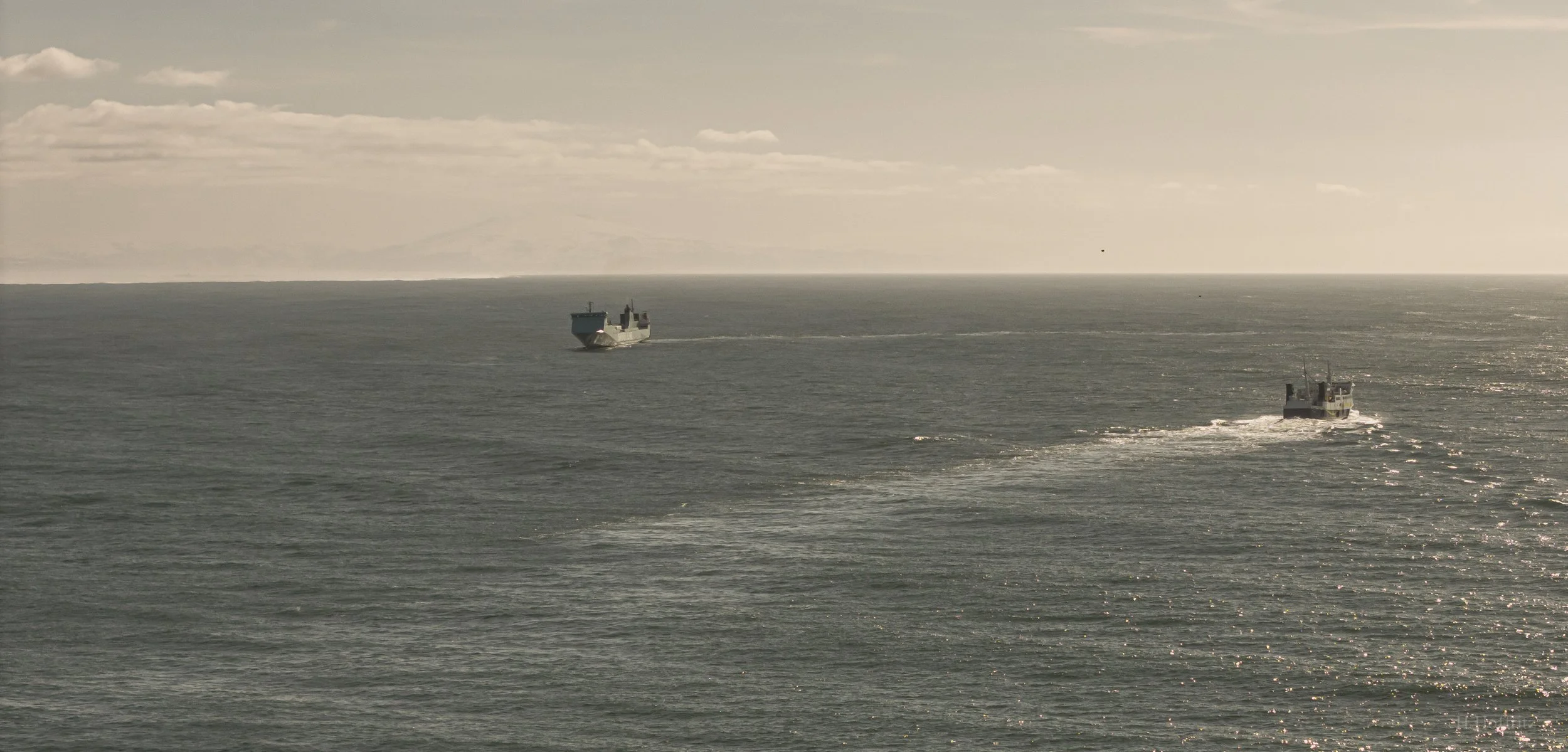 DJI_20260420115742_0071_D.jpg