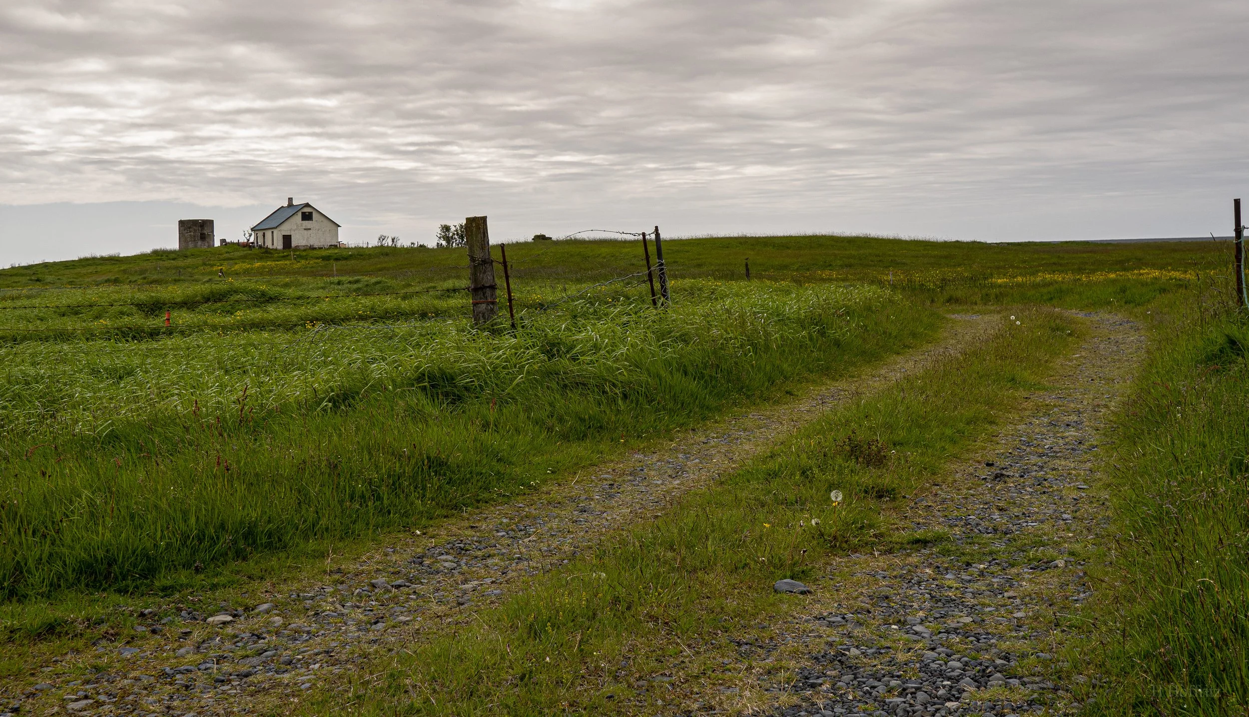 P6300006.jpg