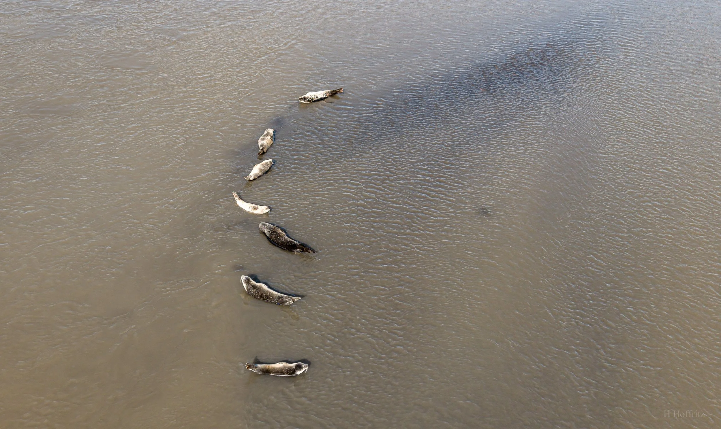 DJI_20260908154111_0402_D.jpg