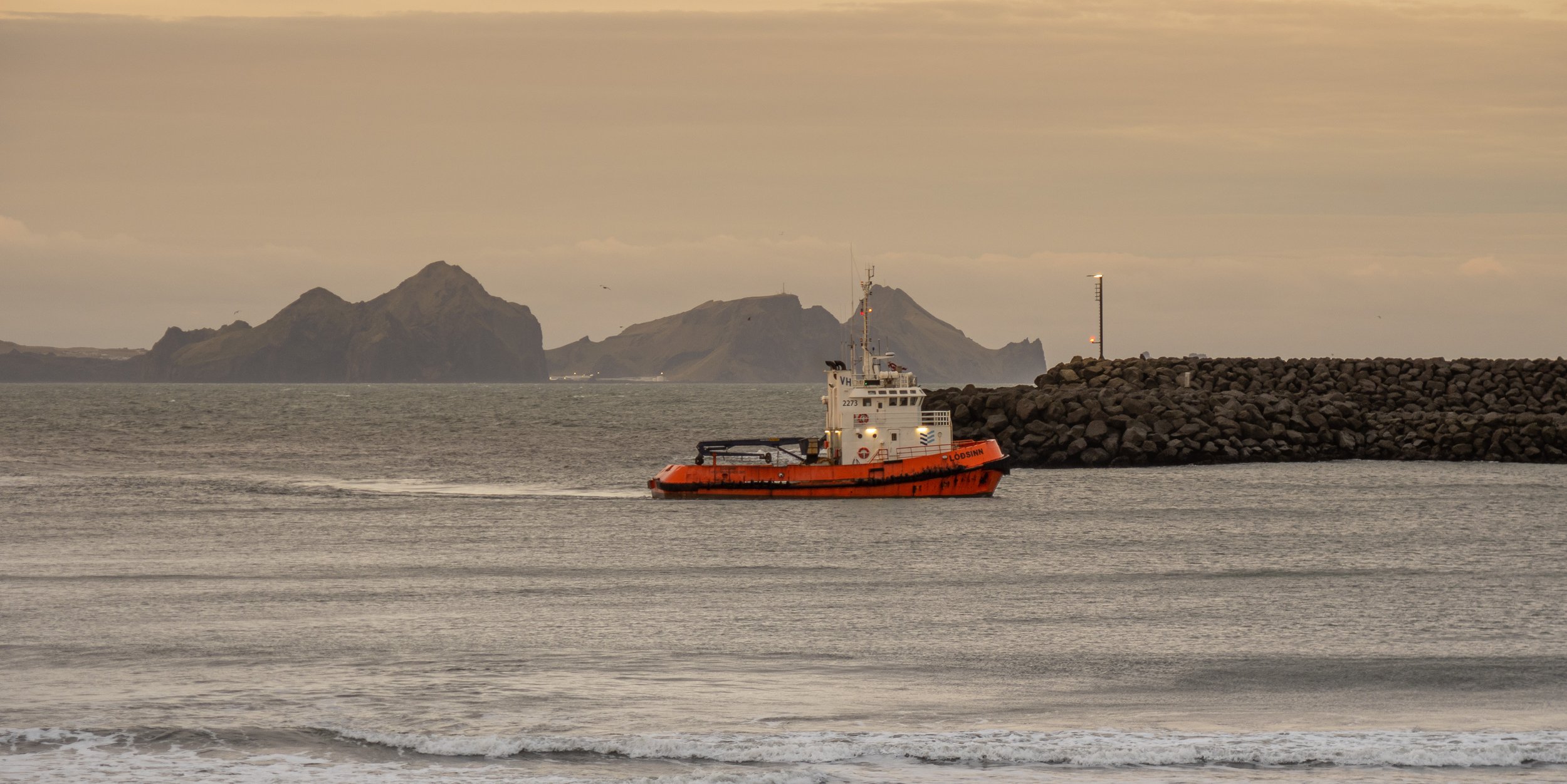 PA110065.jpg