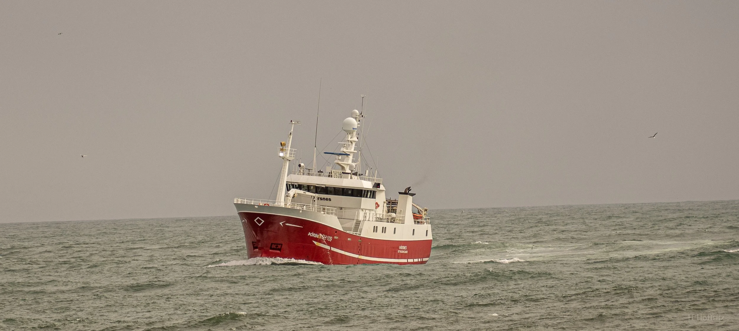 P4150003.jpg