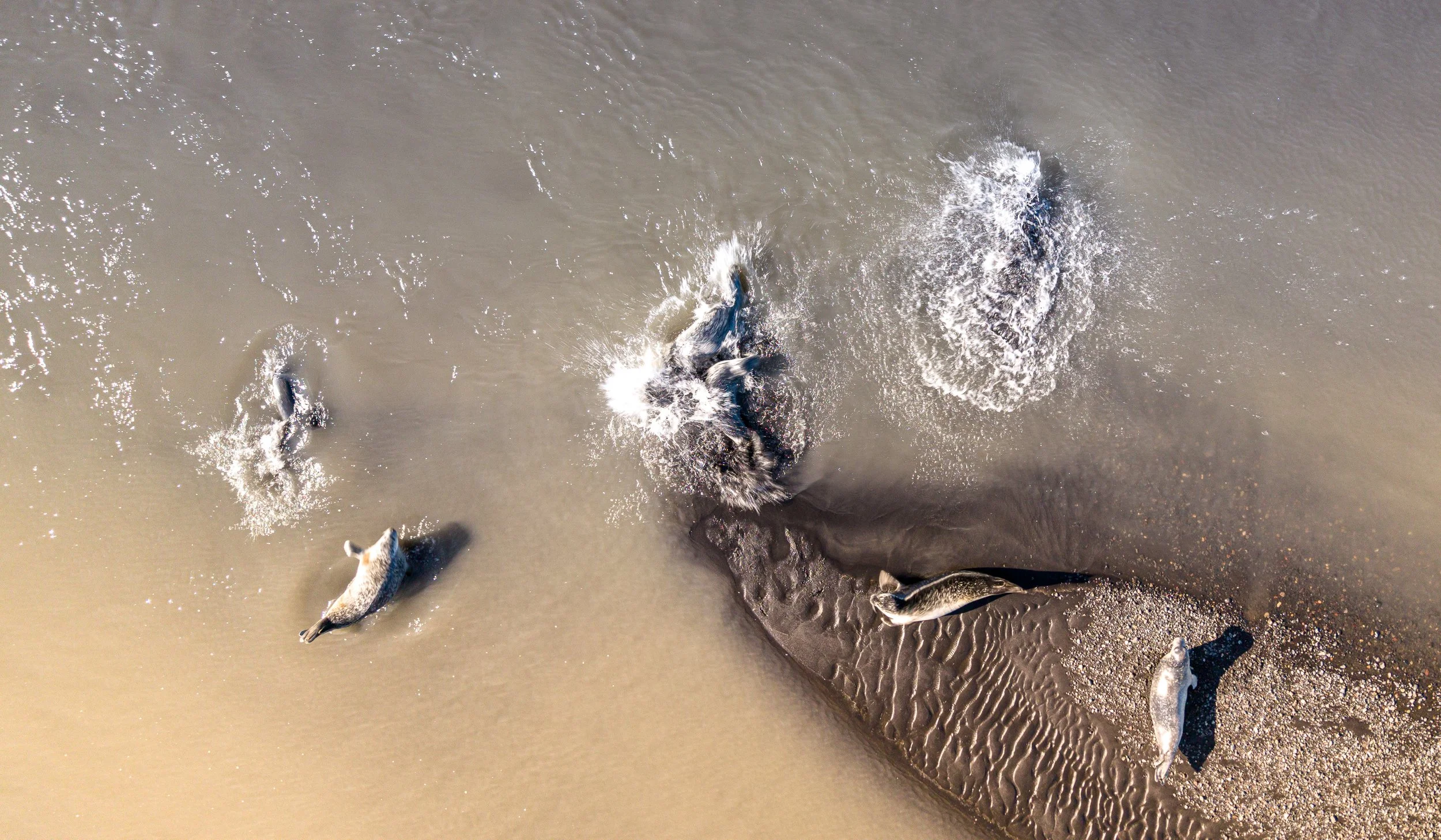 DJI_20260908154353_0407_D.jpg
