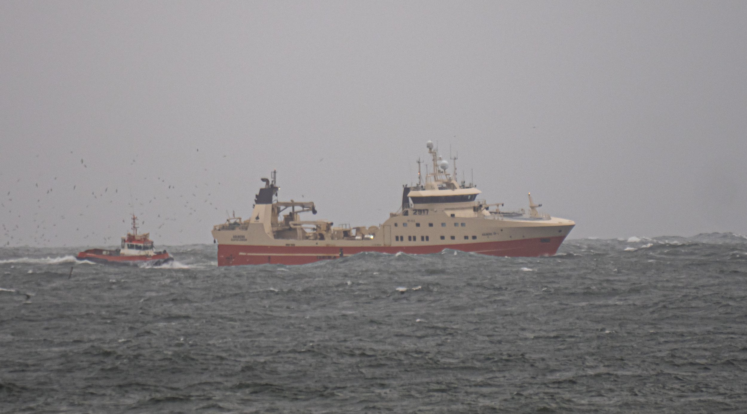 P4280075.jpg