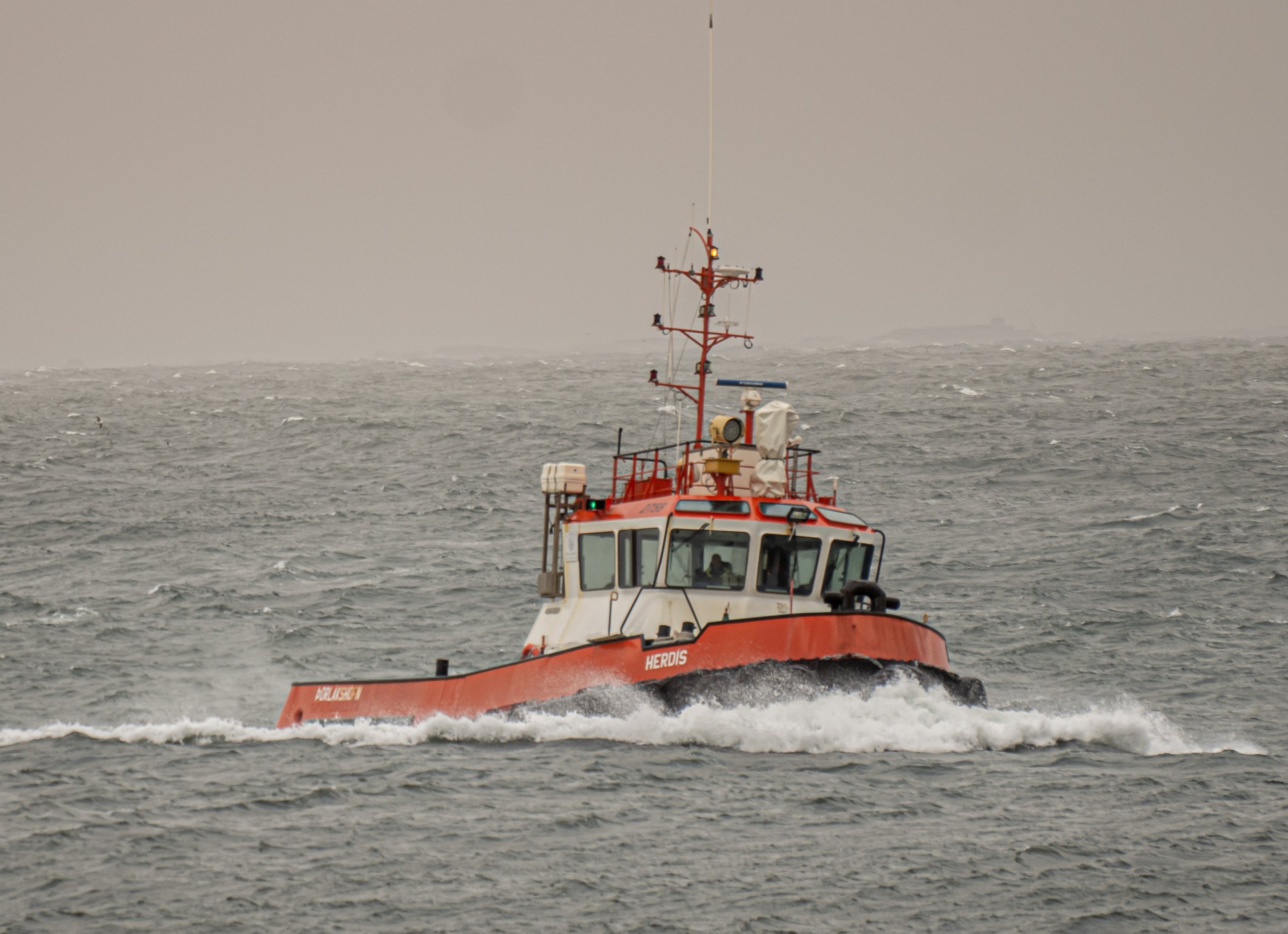 P4280123.jpg