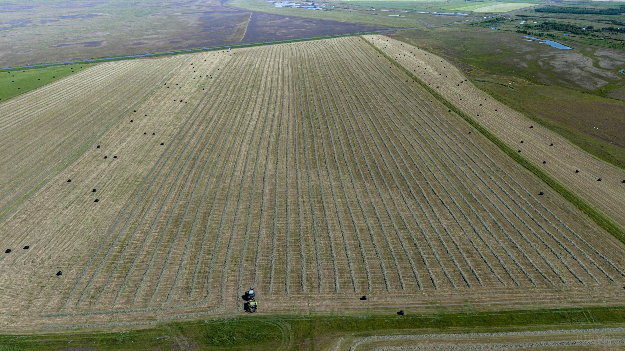 DJI_20260727143146_0037_D.jpg