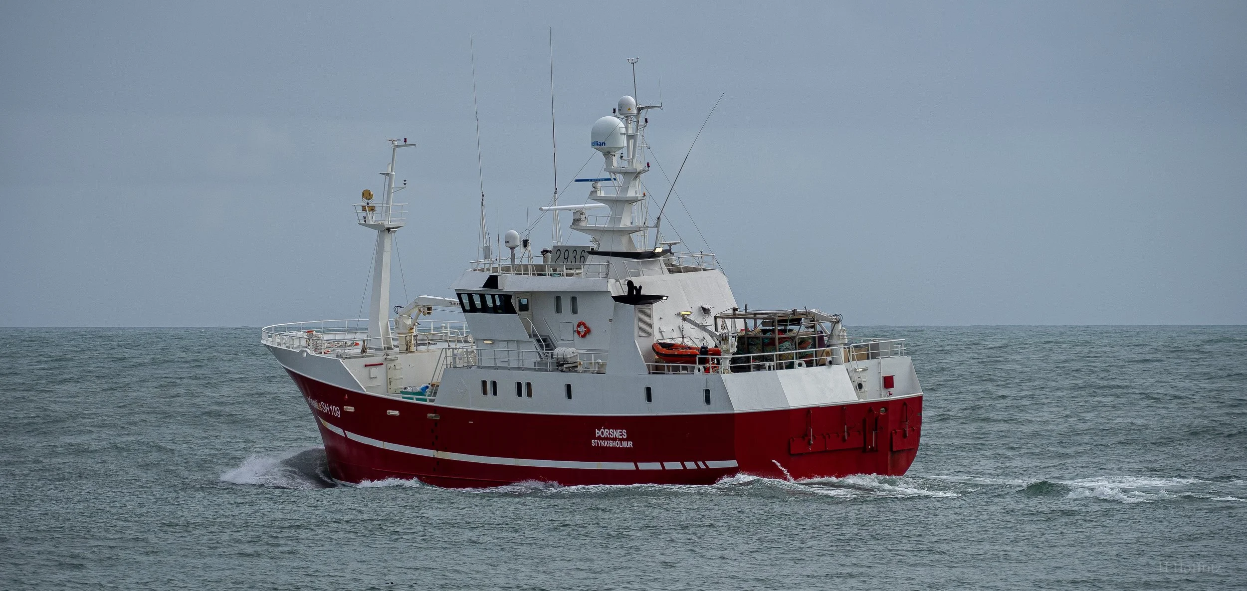 P4150016.jpg