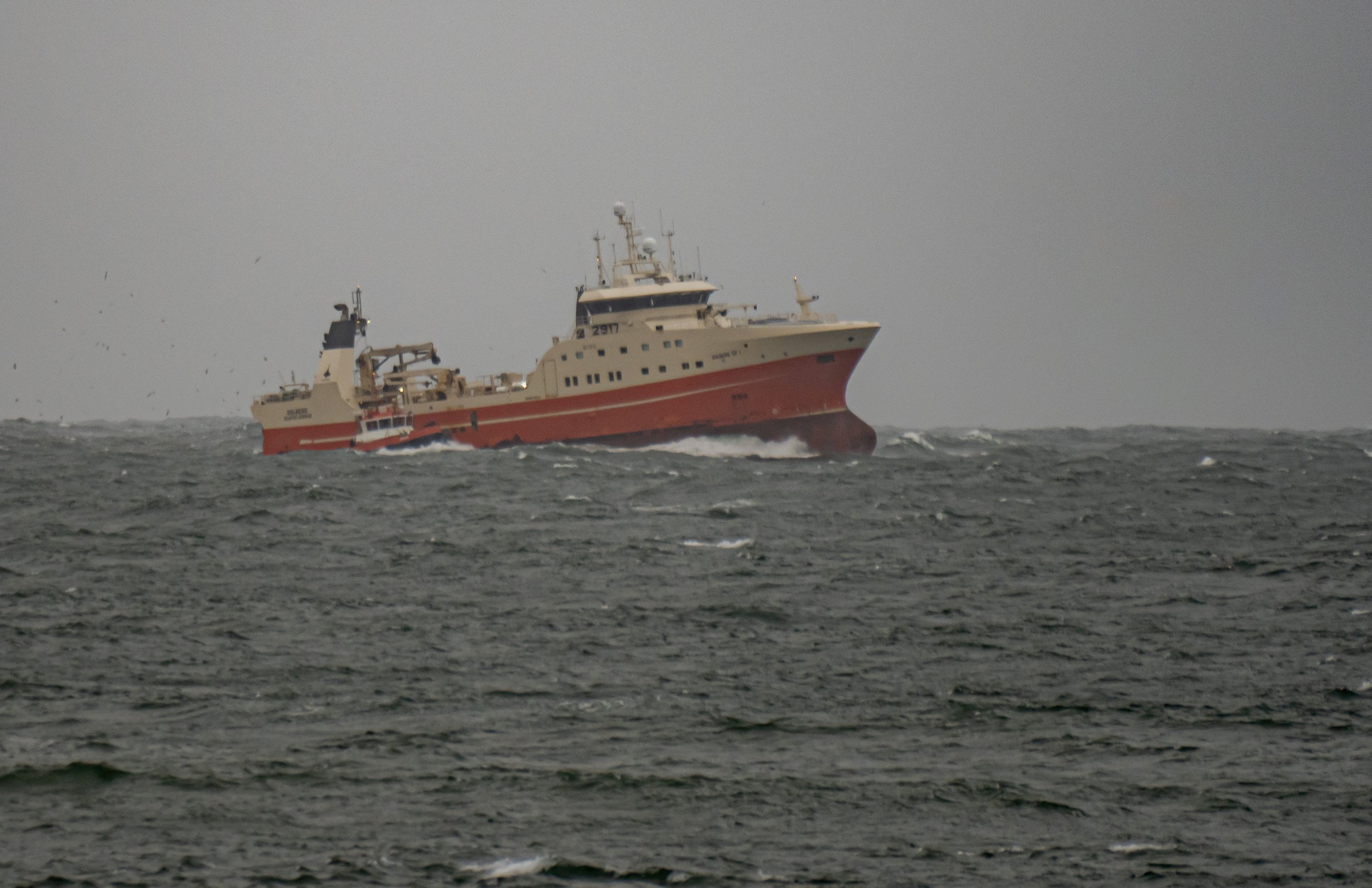 P4280086.jpg