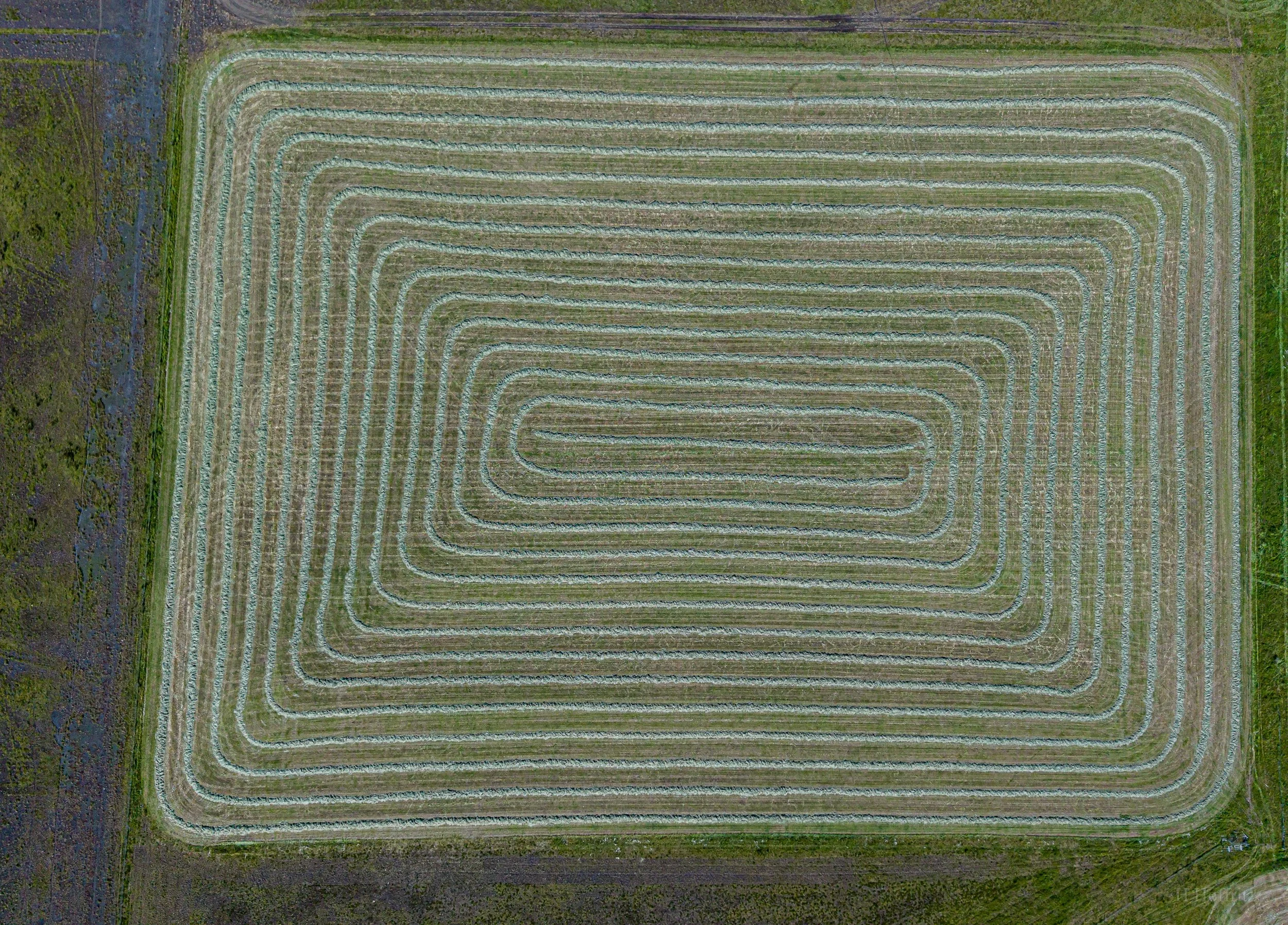 DJI_20260727143332_0038_D.jpg