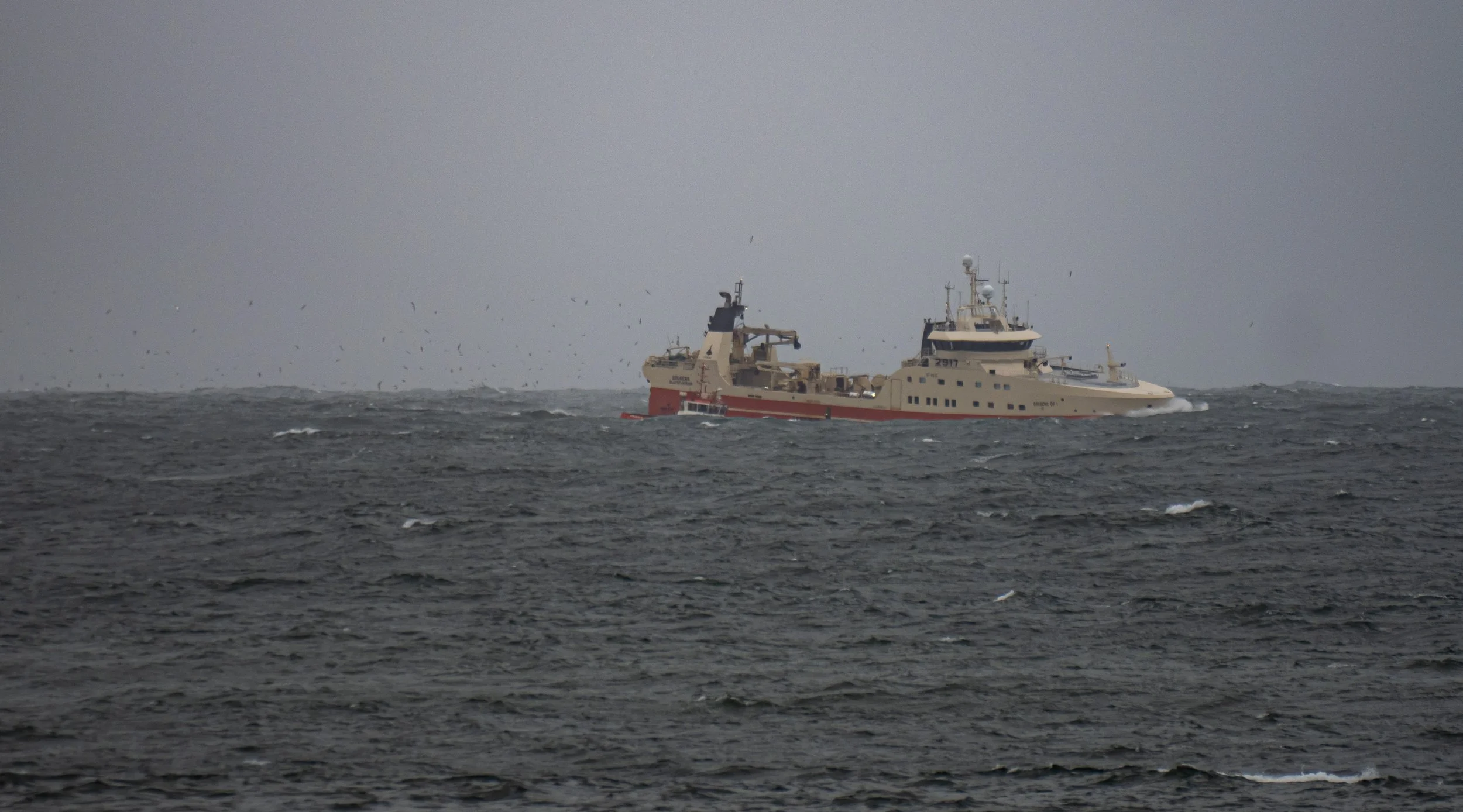 P4280078.jpg
