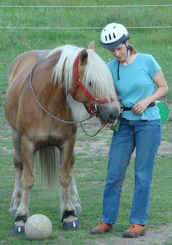 Clicker training - Wikipedia