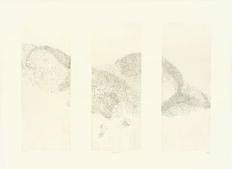 murmuration 3 plate a.jpg
