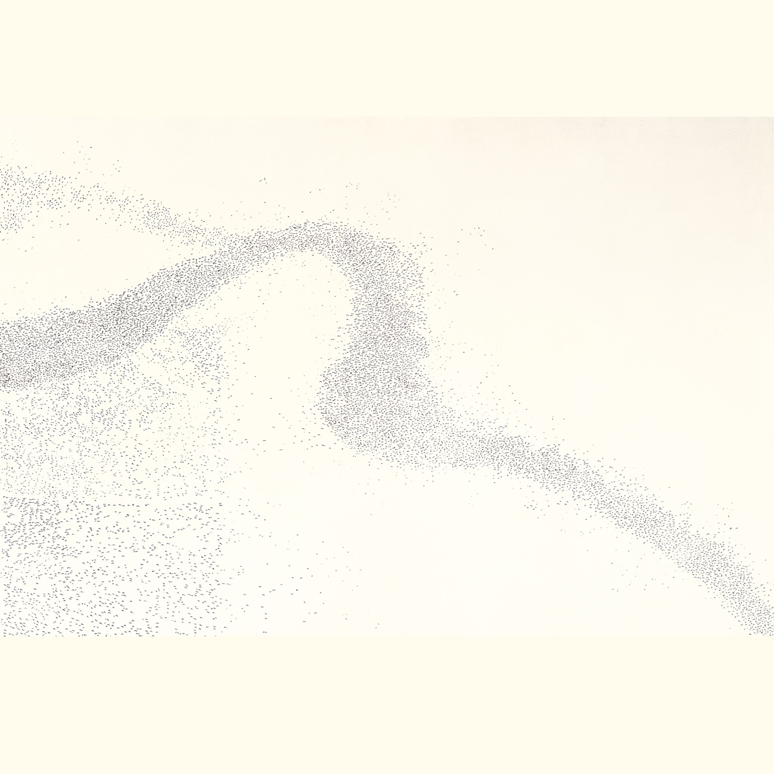 Murmuration iii plate only.jpg