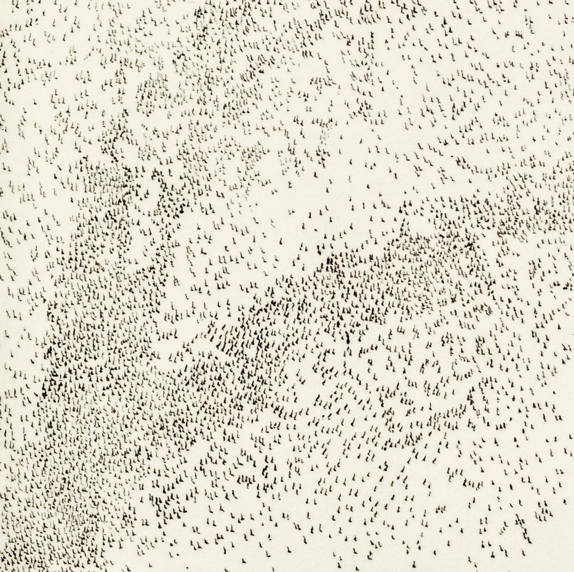murmuration ii e.jpg