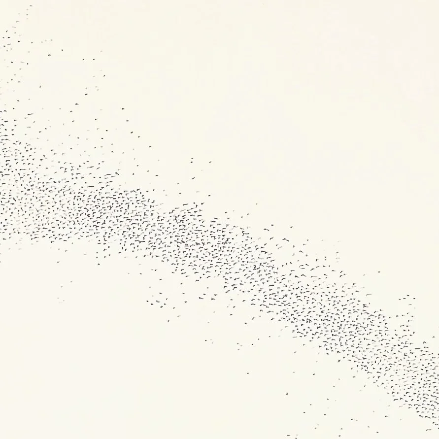 Murmuration iii c detail.jpg