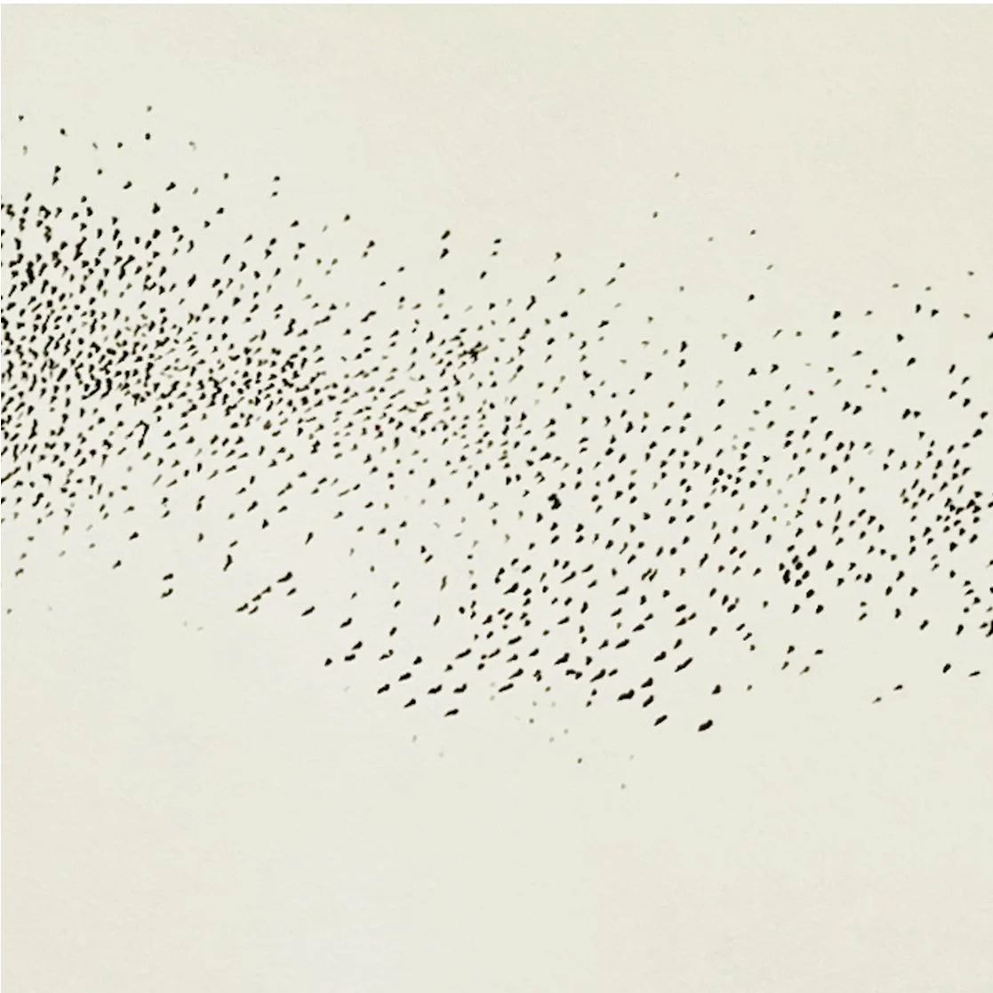 murmuration v d detail.jpg