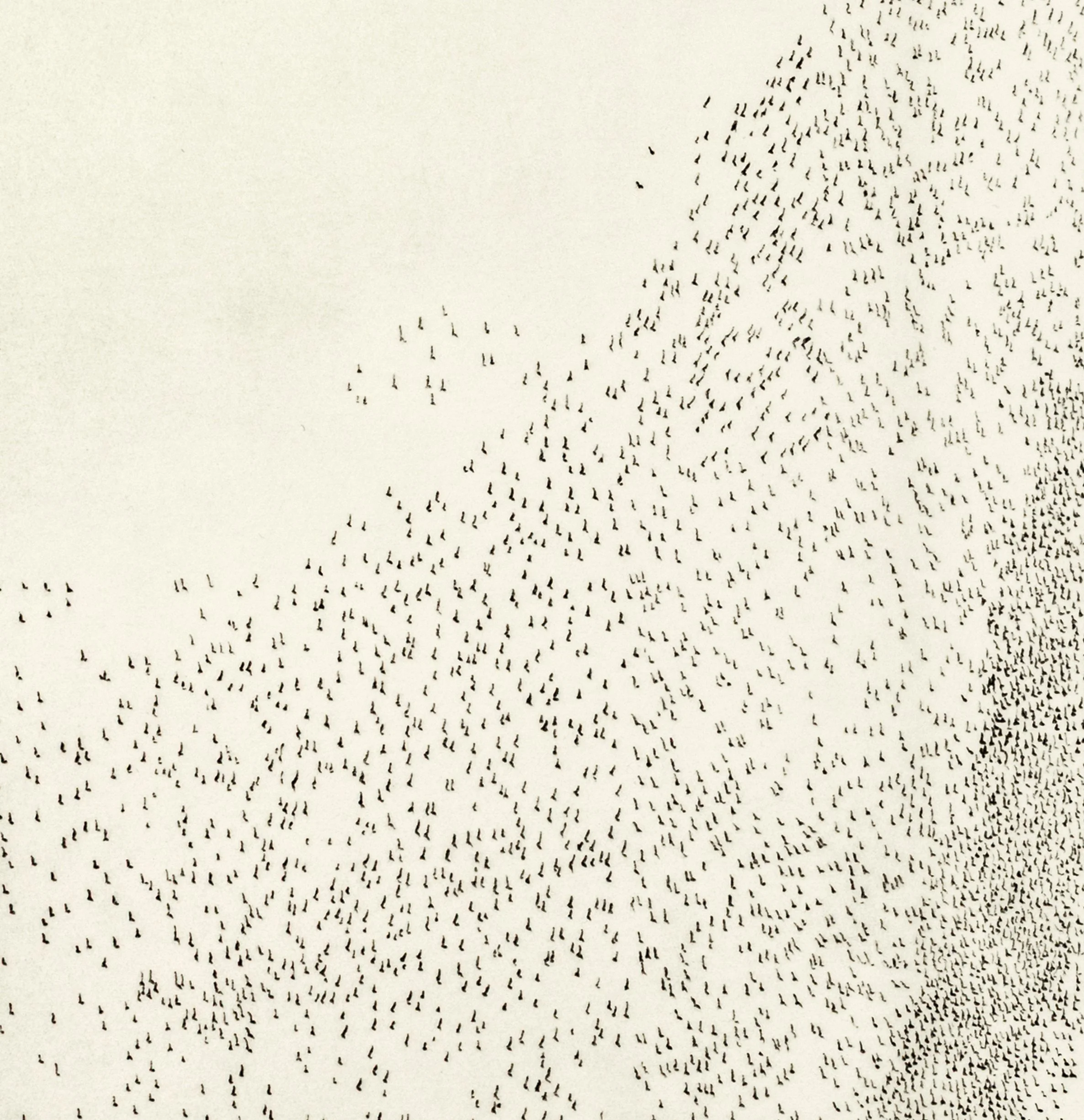 murmuration ii d.jpg