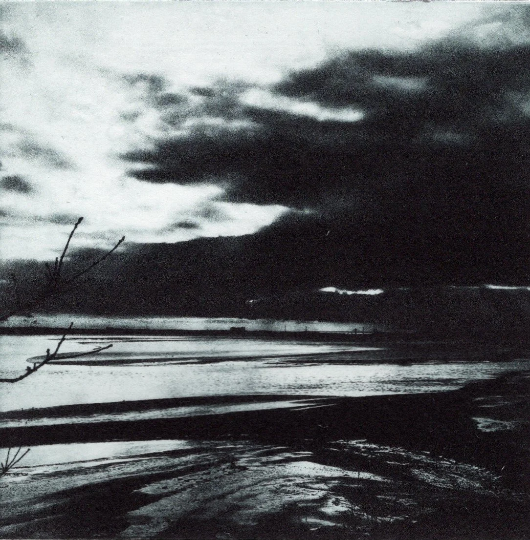 Estuary a.jpg