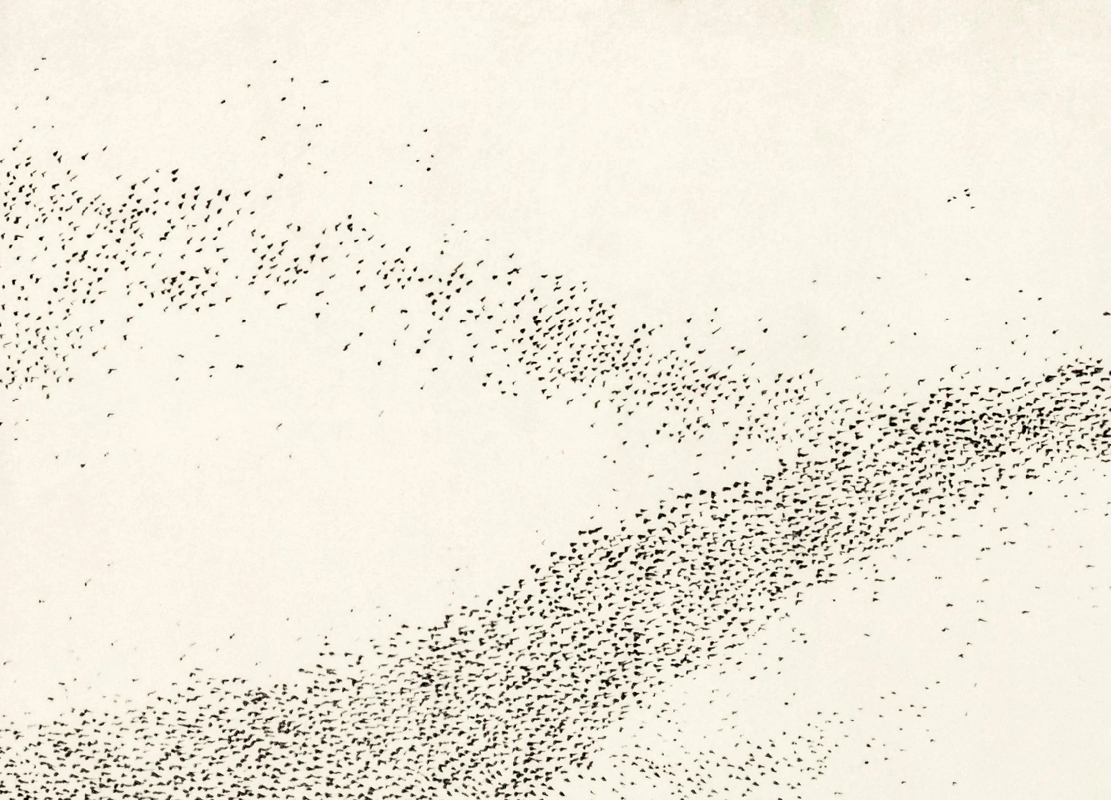 murmuraation iii c.jpg