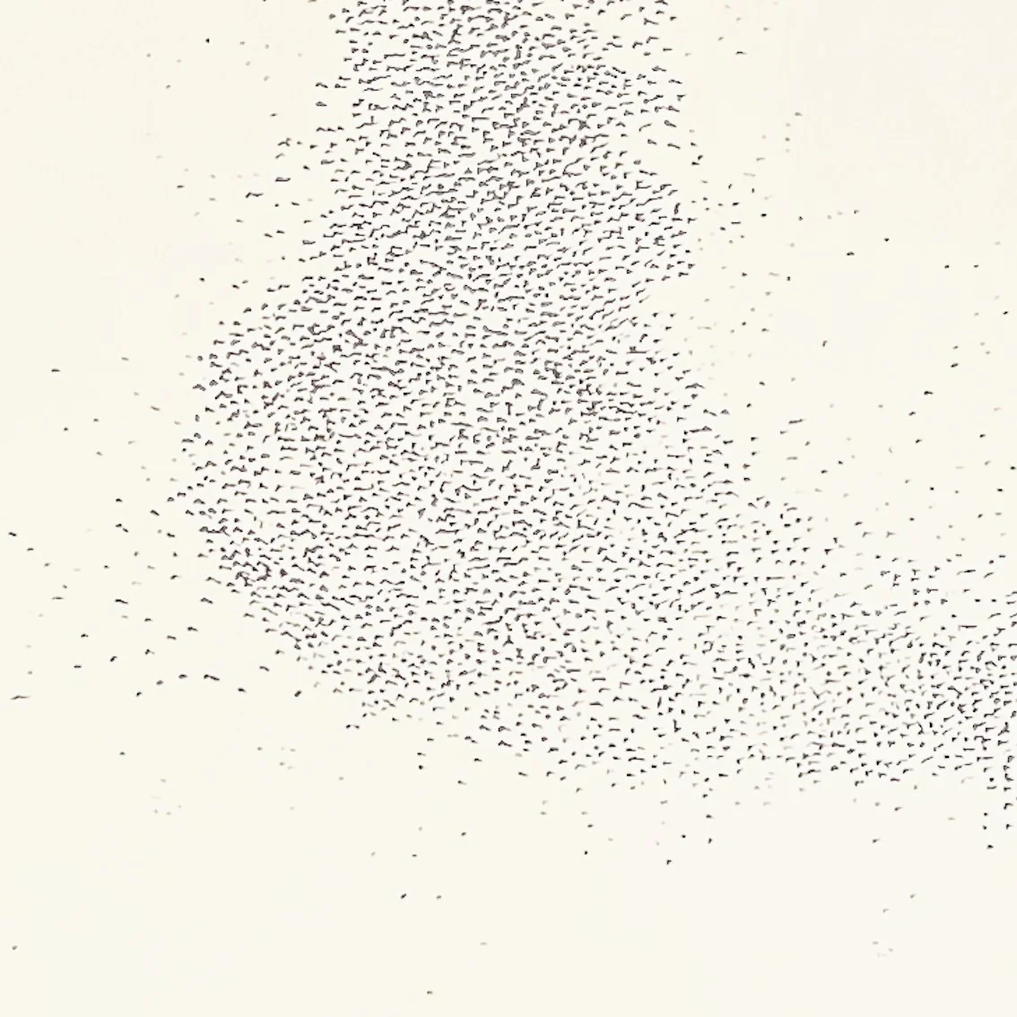 Murmuration iii b detail.jpg
