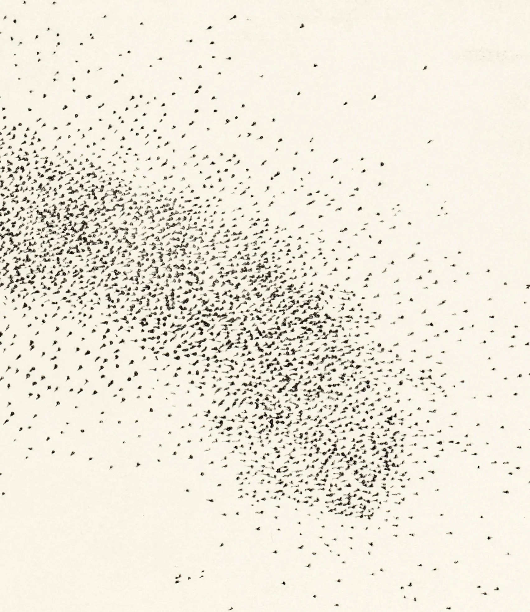 murmuration vii d.jpg