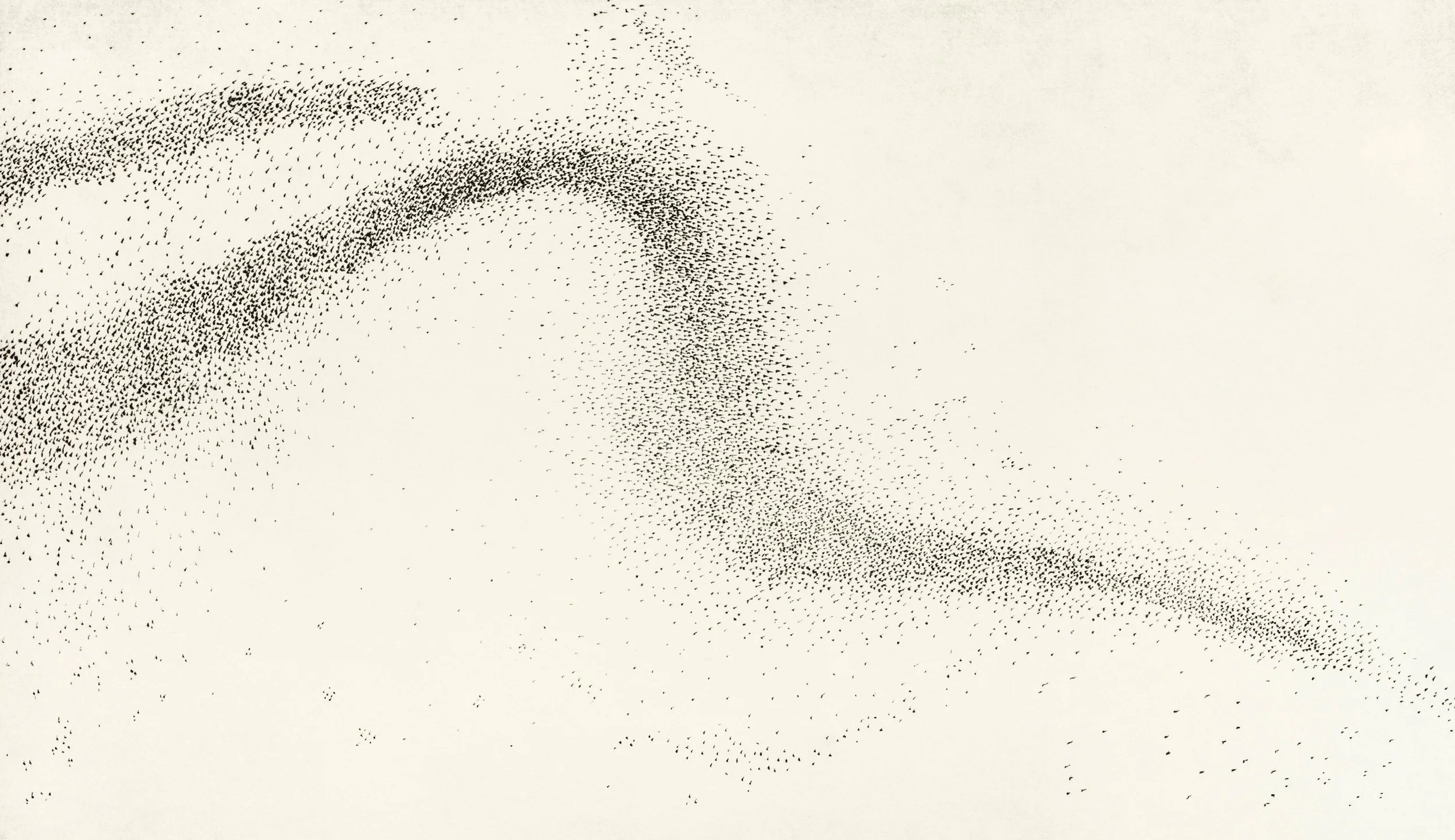 murmuration vi b.jpg