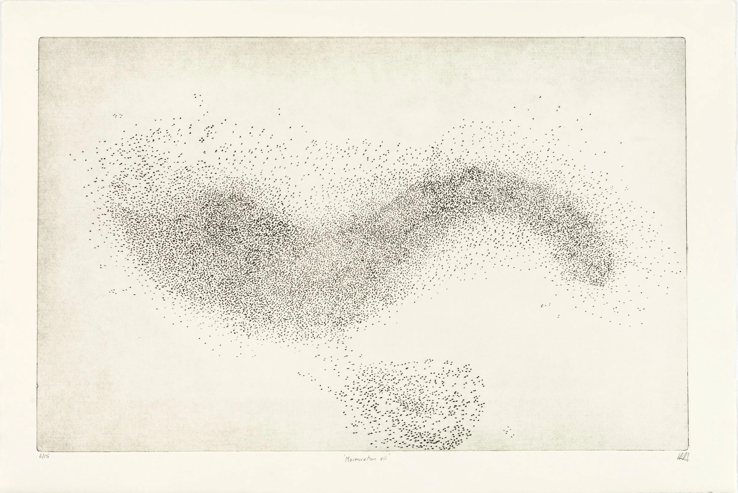 murmuration vii a.jpg