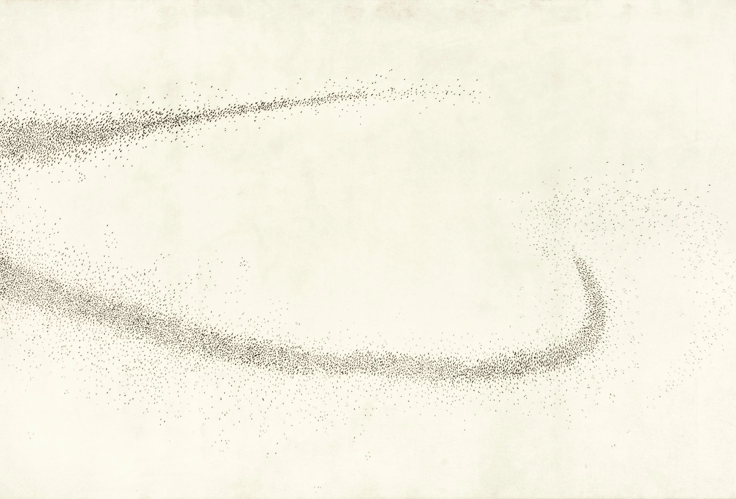 murmuration vi b.jpg