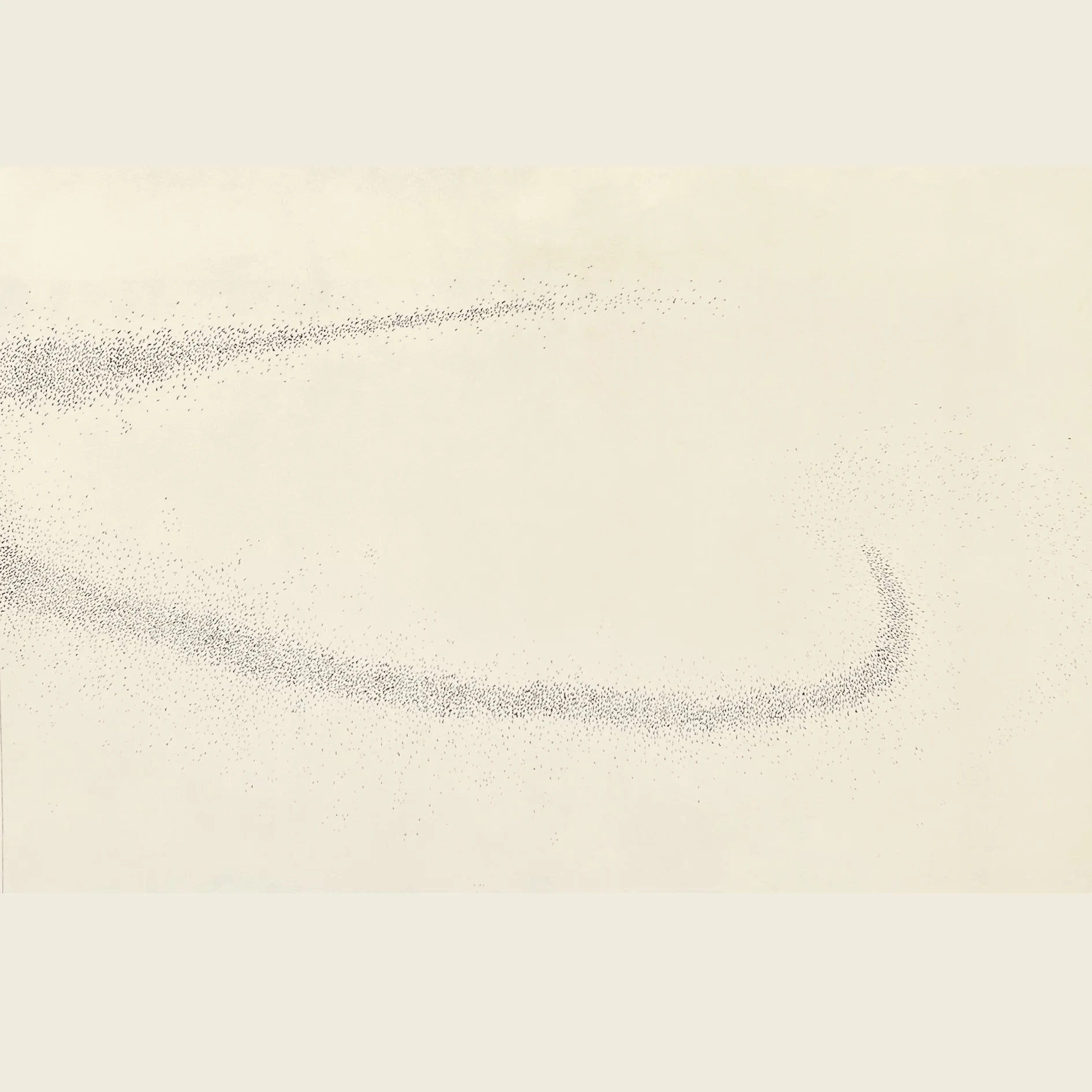 murmuration iv b plate only.jpg