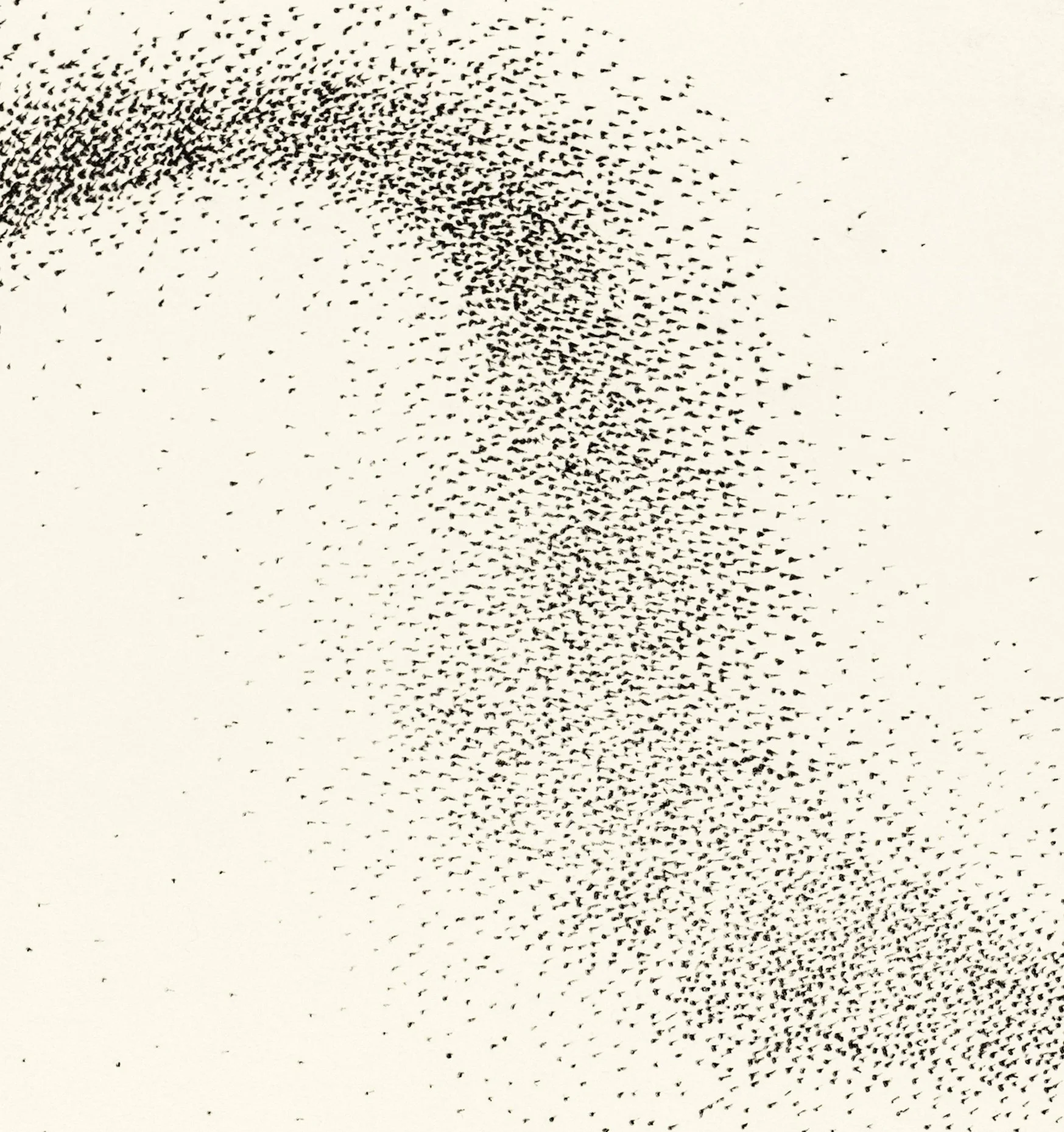 murmuration vi c.jpg
