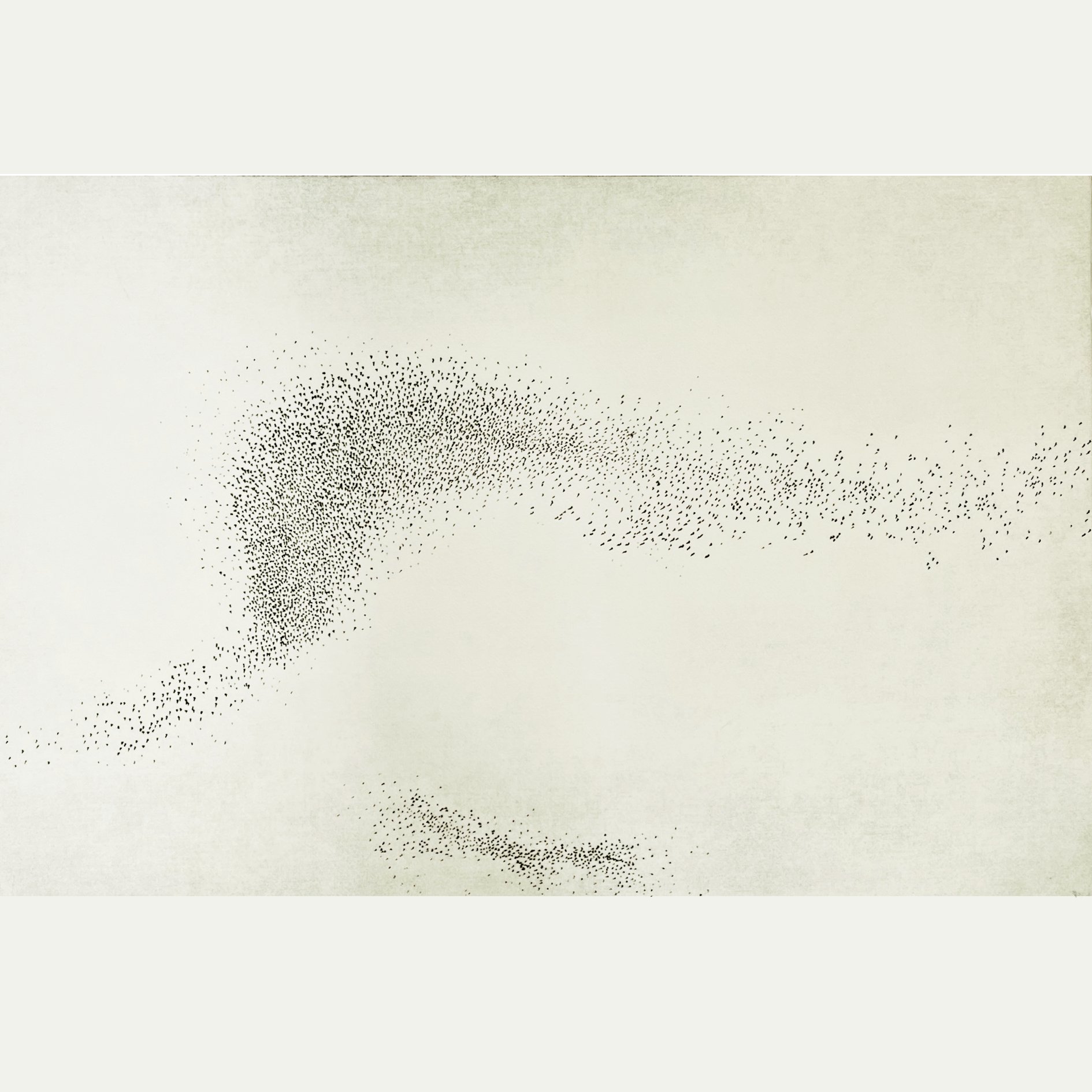 murmuration v b plate only.jpg