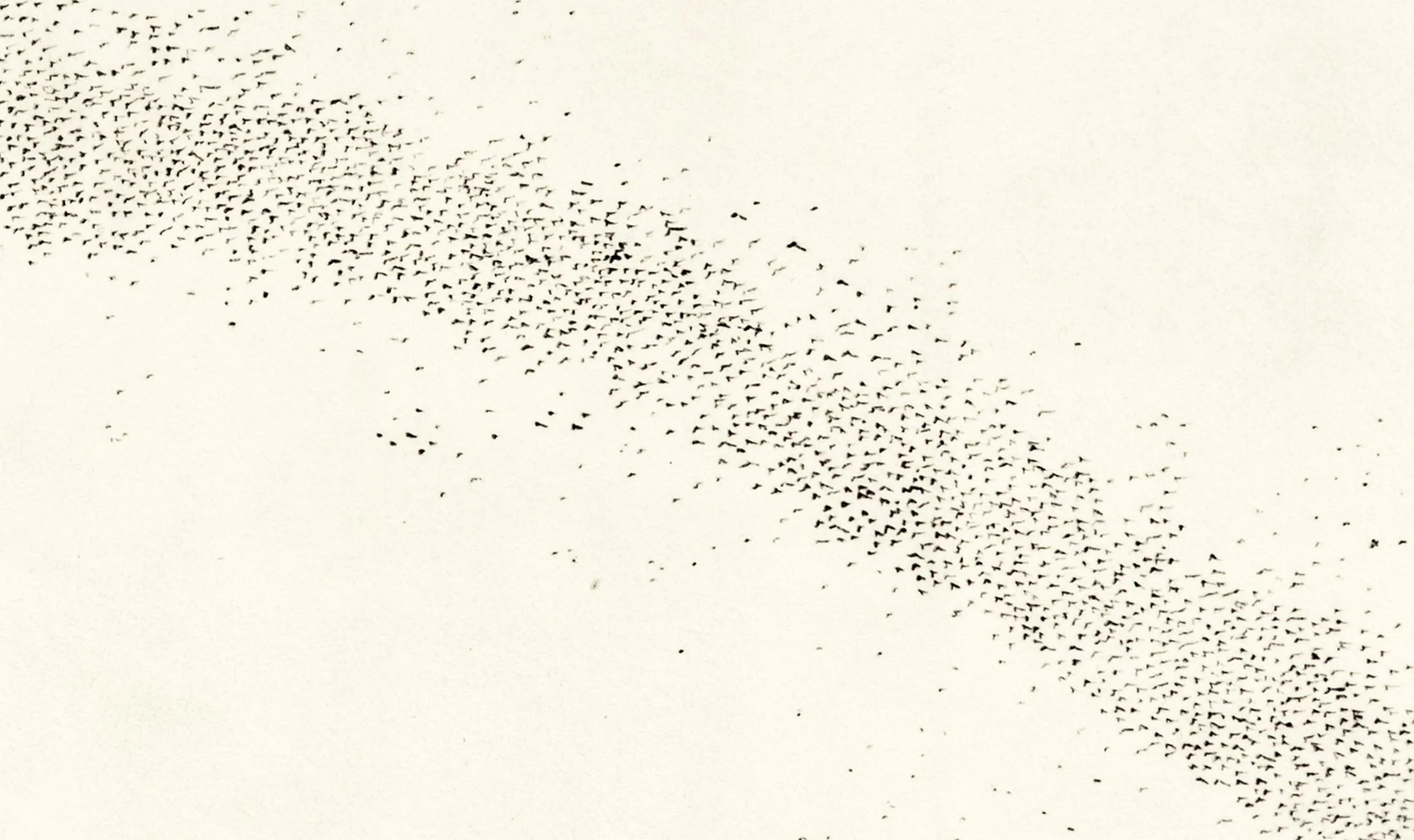murmuraation iii e.jpg