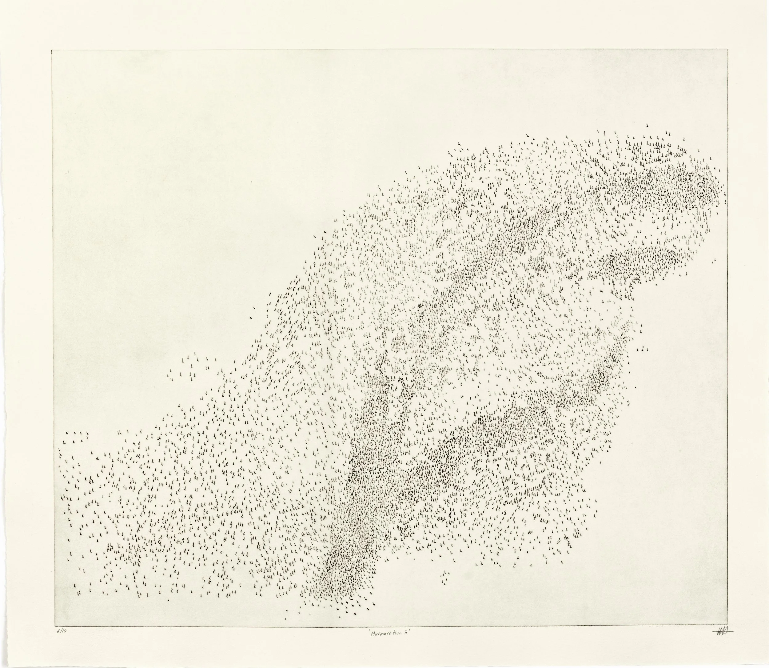 Murmuration ii