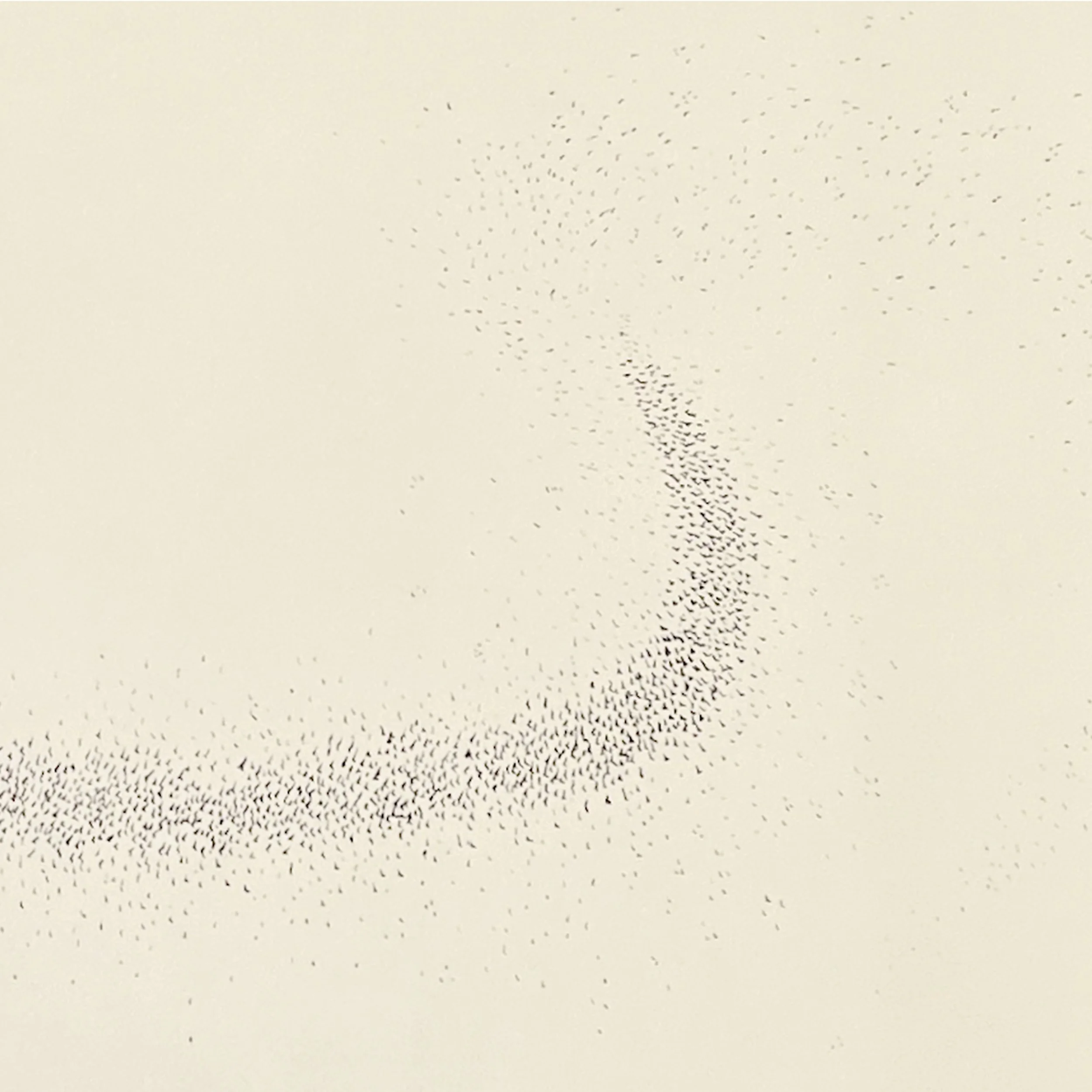 murmuration iv detail b.jpg