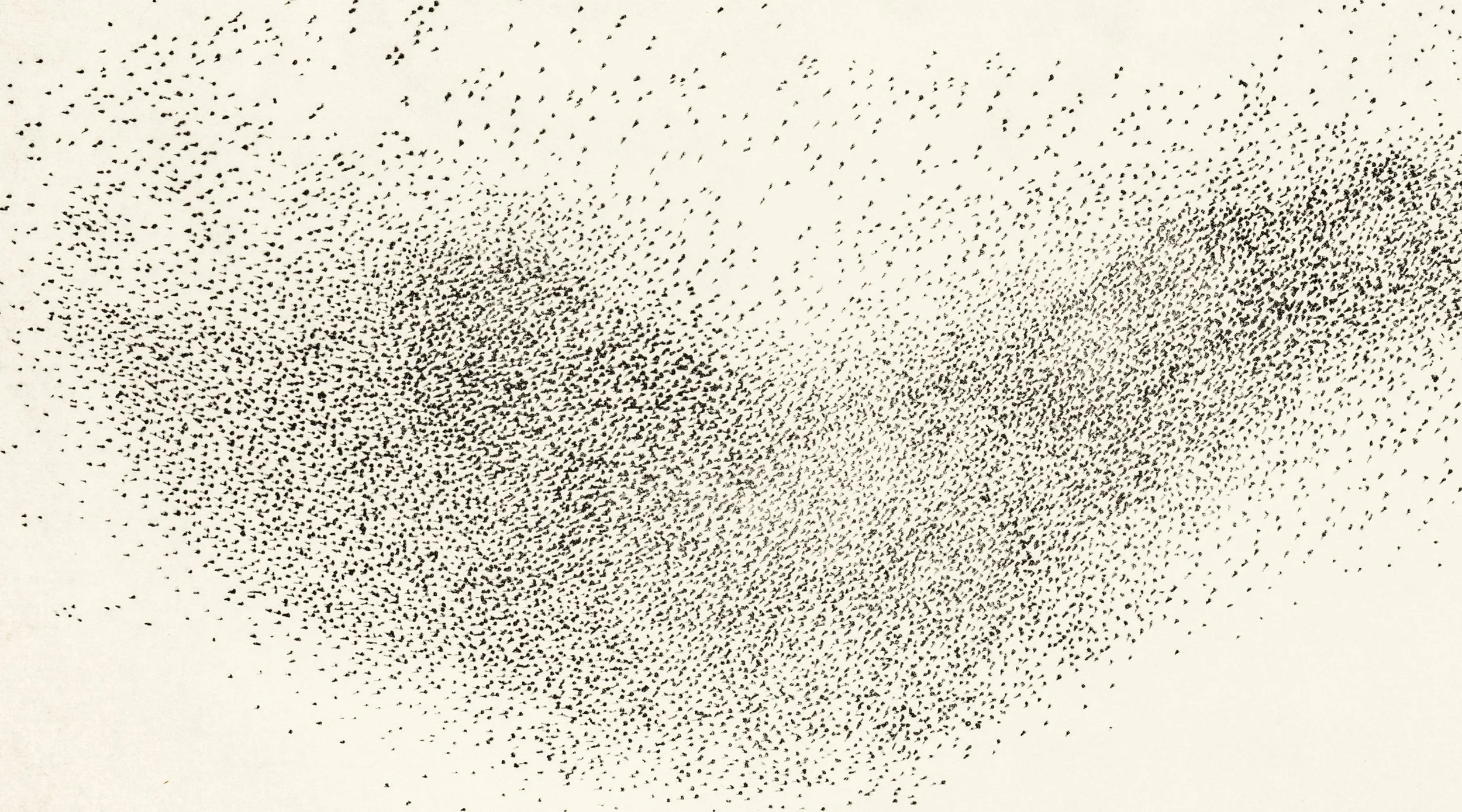 murmuration vii c.jpg