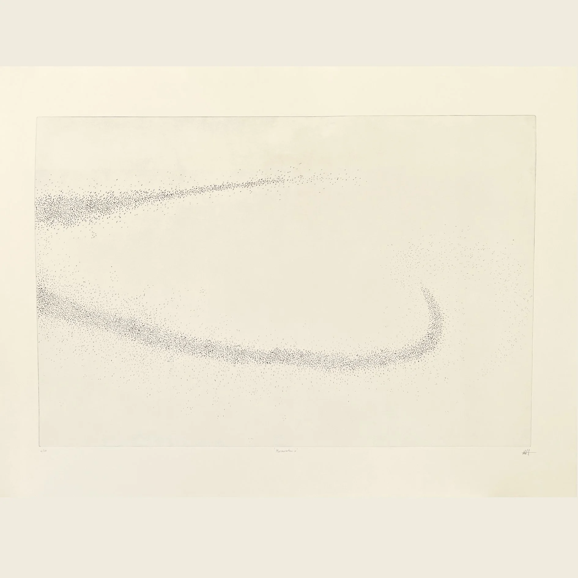 murmuration iv a.jpg