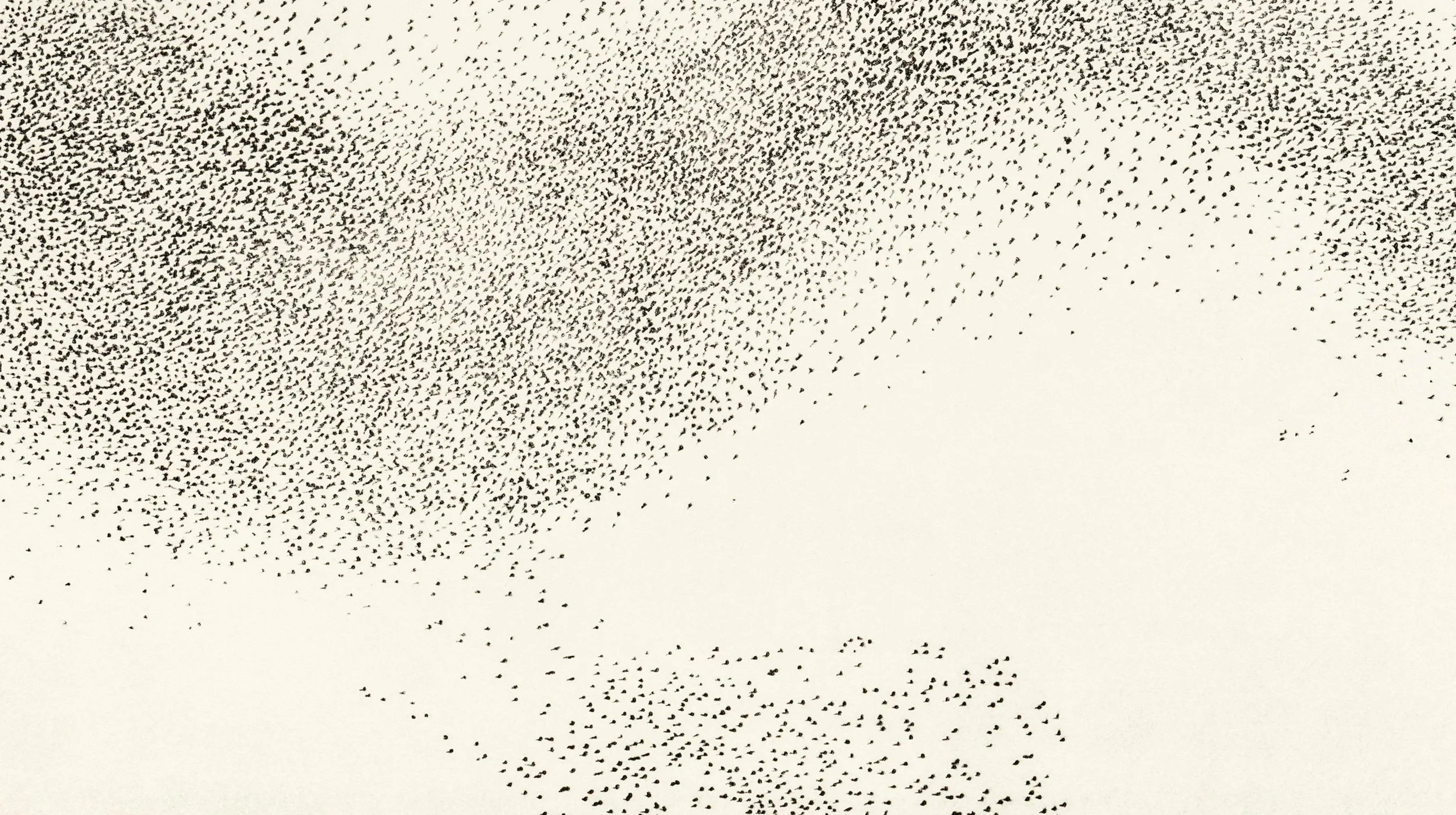 murmuration vii e.jpg